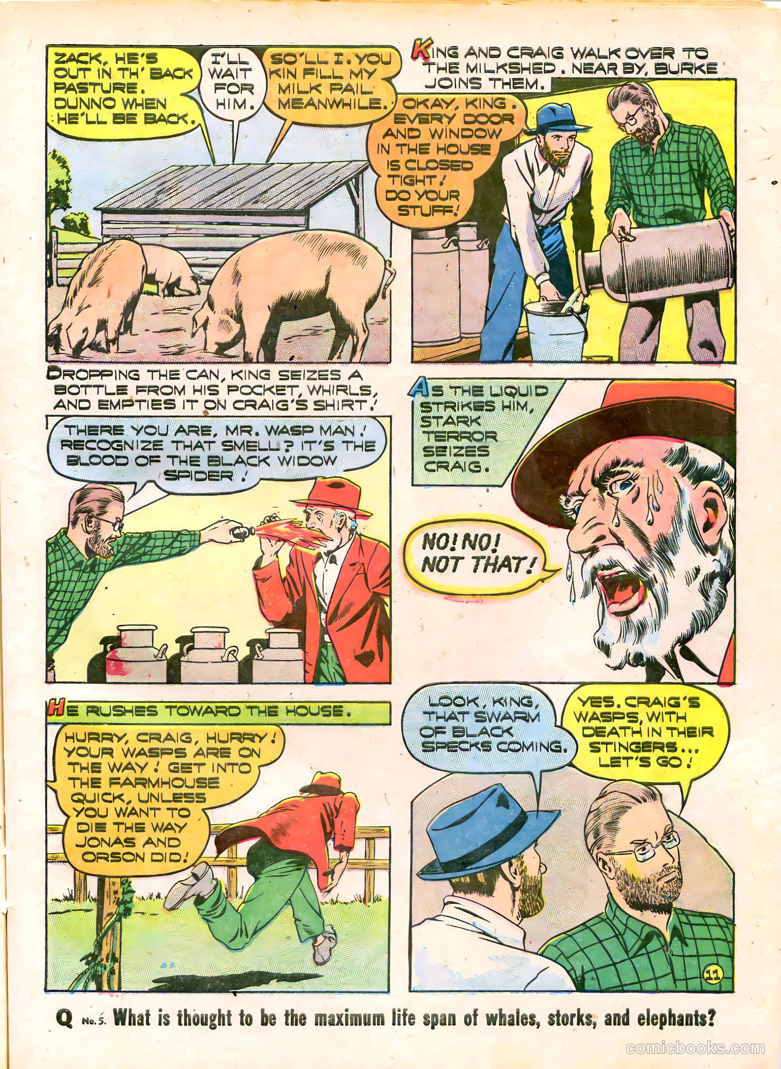 Young King Cole #8 (1948) — page 14 of 53