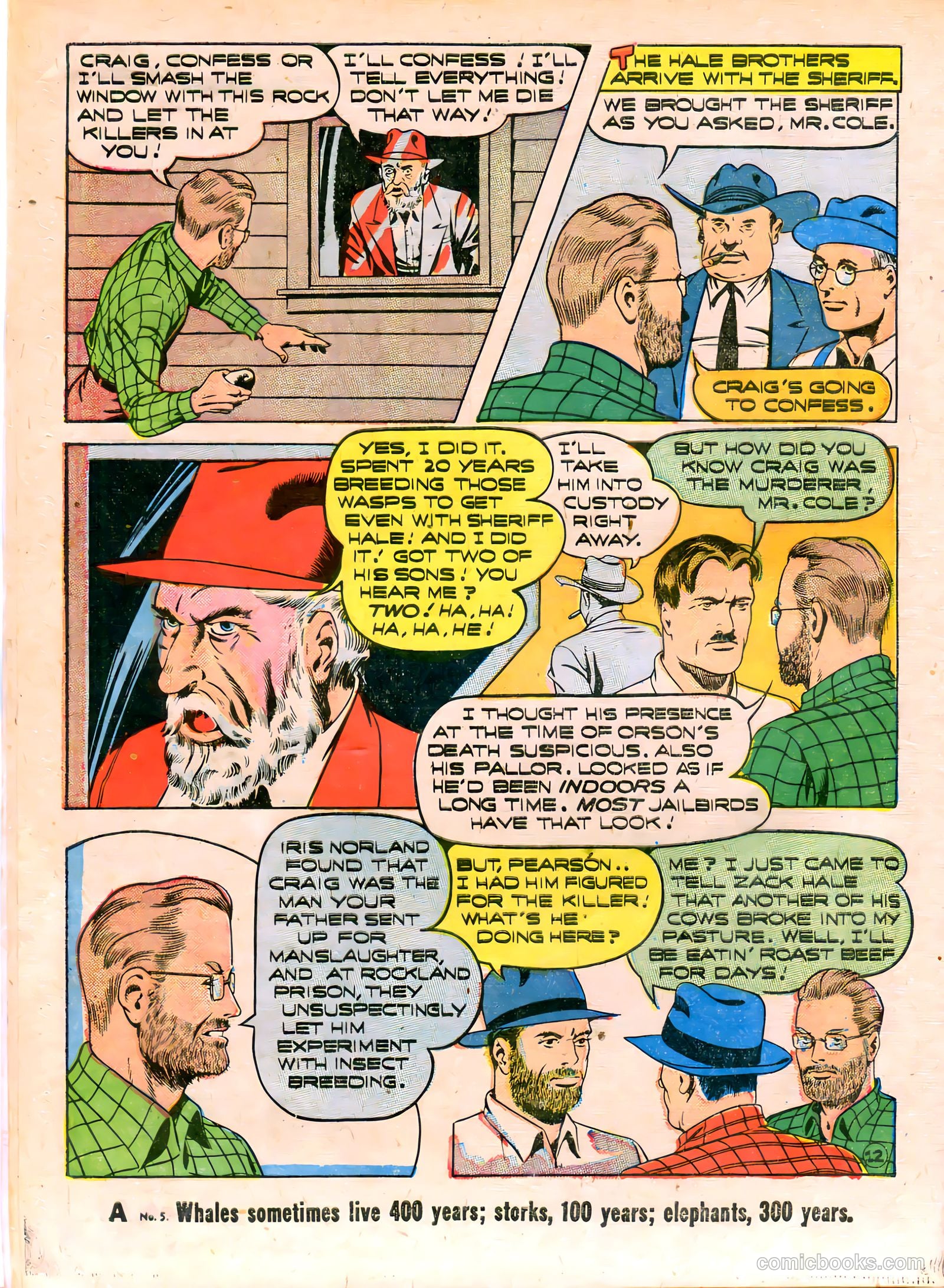 Young King Cole #8 (1948) — page 15 of 53
