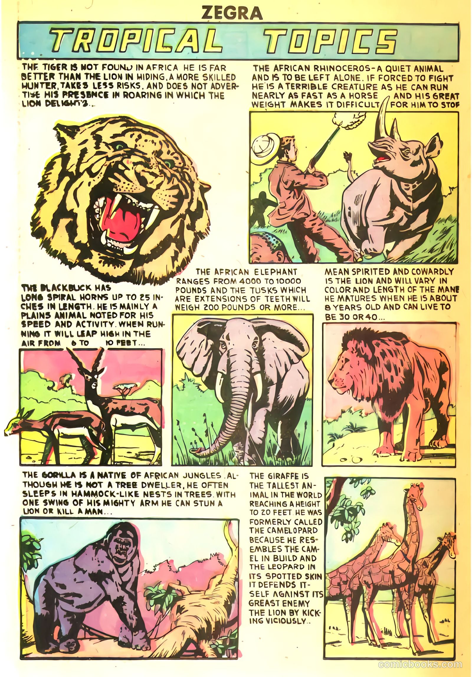 Zegra #3 (1948) — page 26 of 36