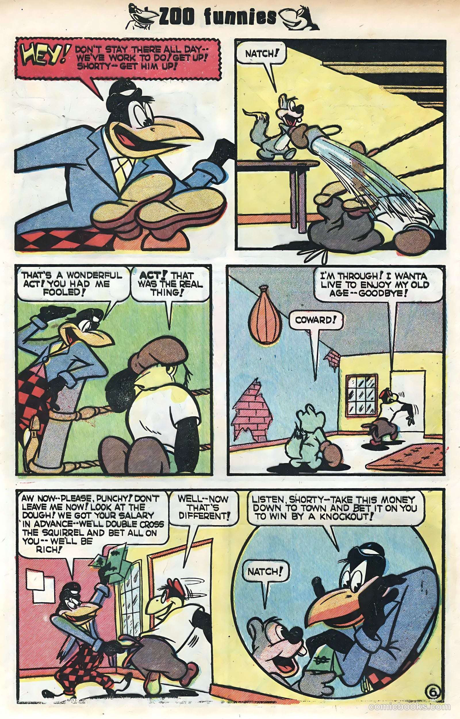 Zoo Funnies #1 (1953) — page 8 of 36