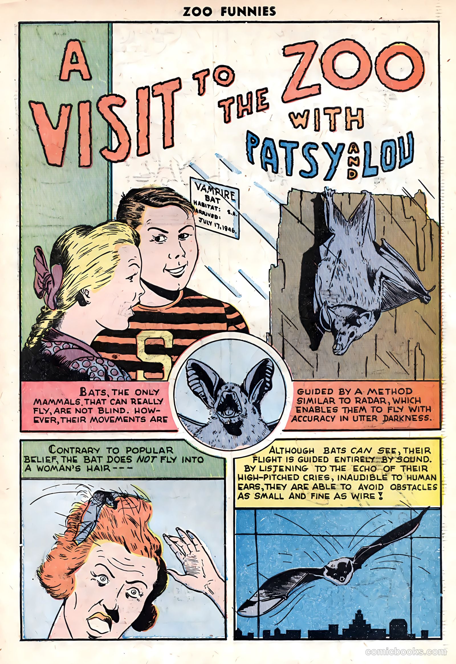 Zoo Funnies #11 (1947) — page 33 of 35