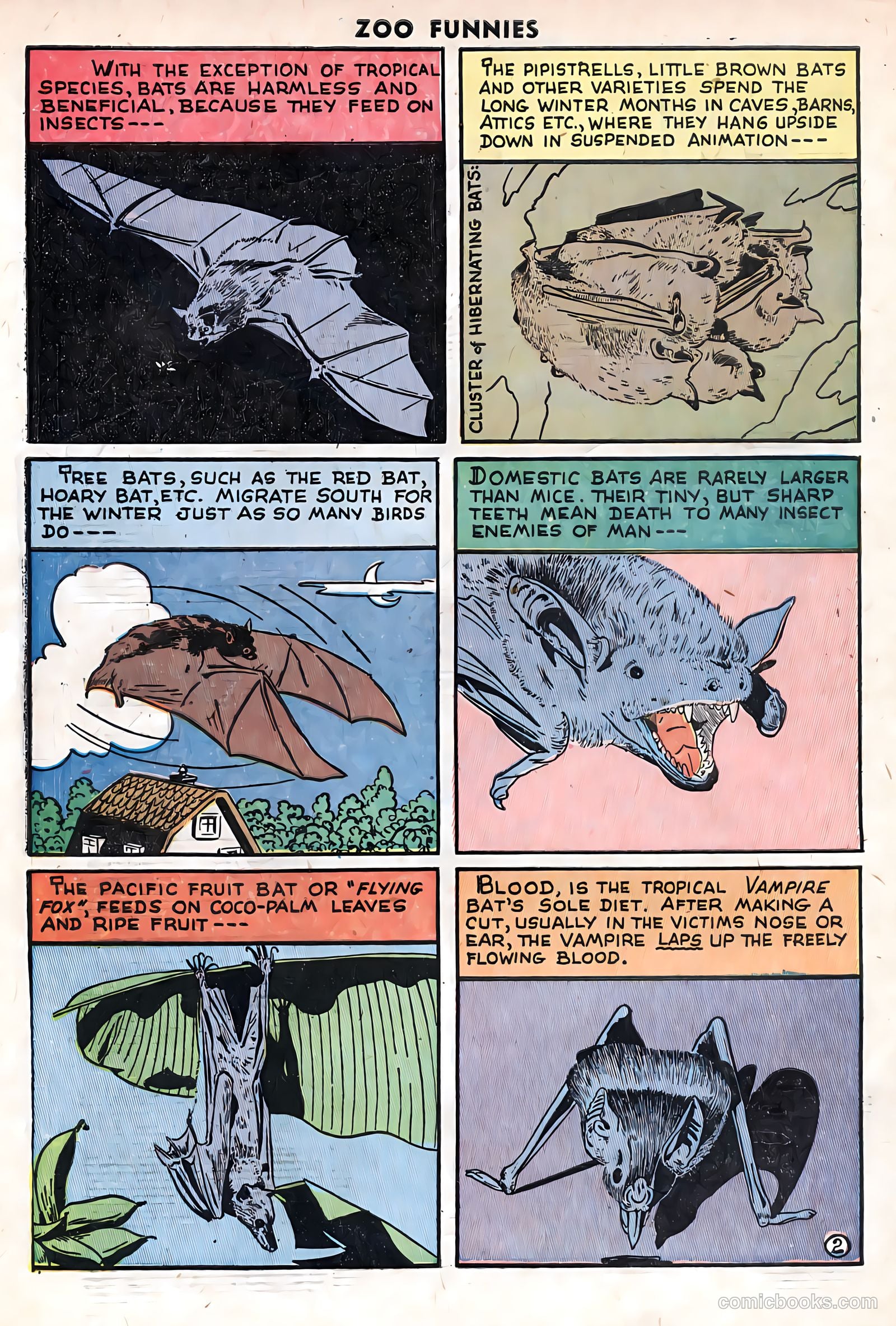 Zoo Funnies #11 (1947) — page 34 of 35