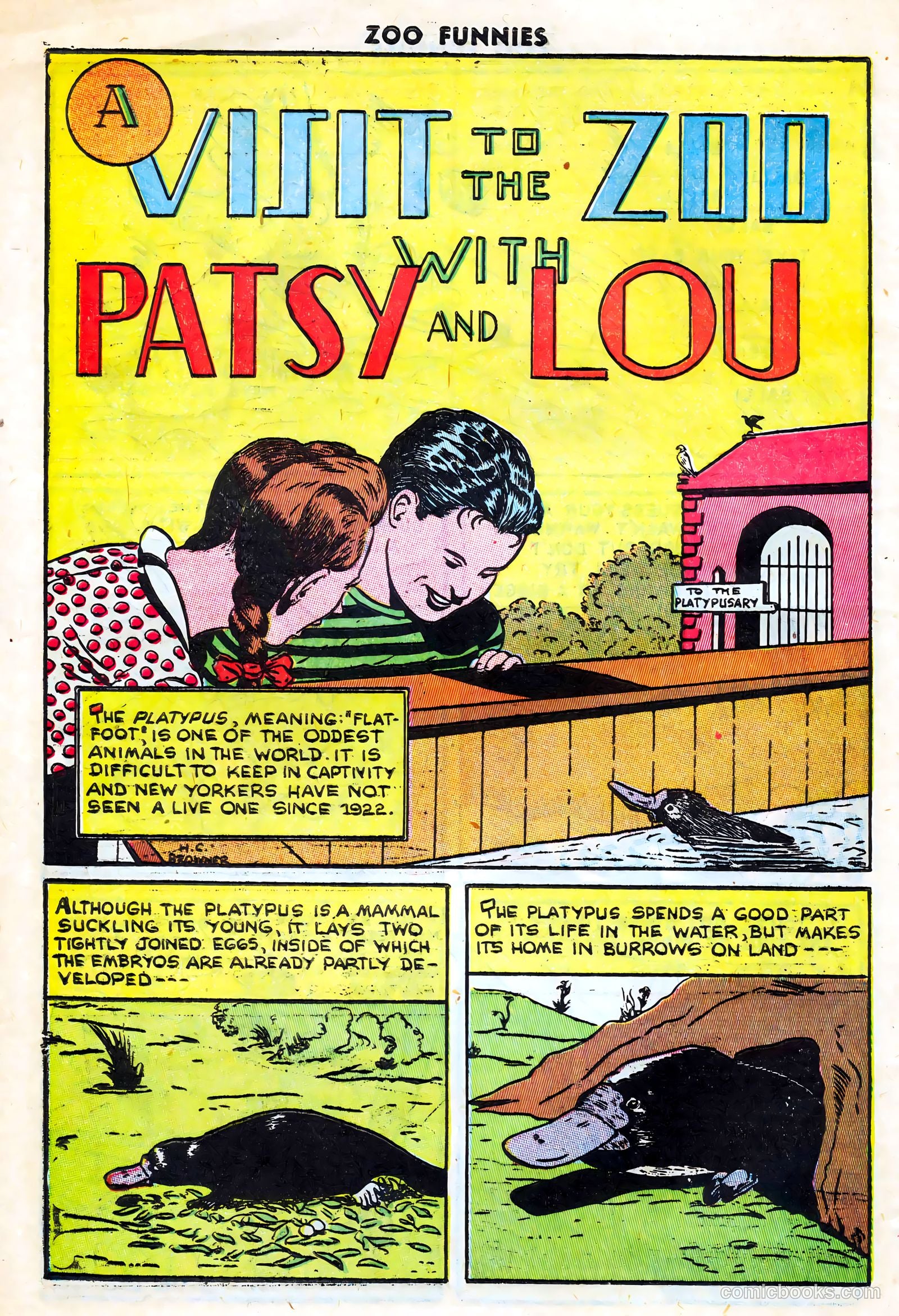 Zoo Funnies #14 (1947) — page 8 of 36