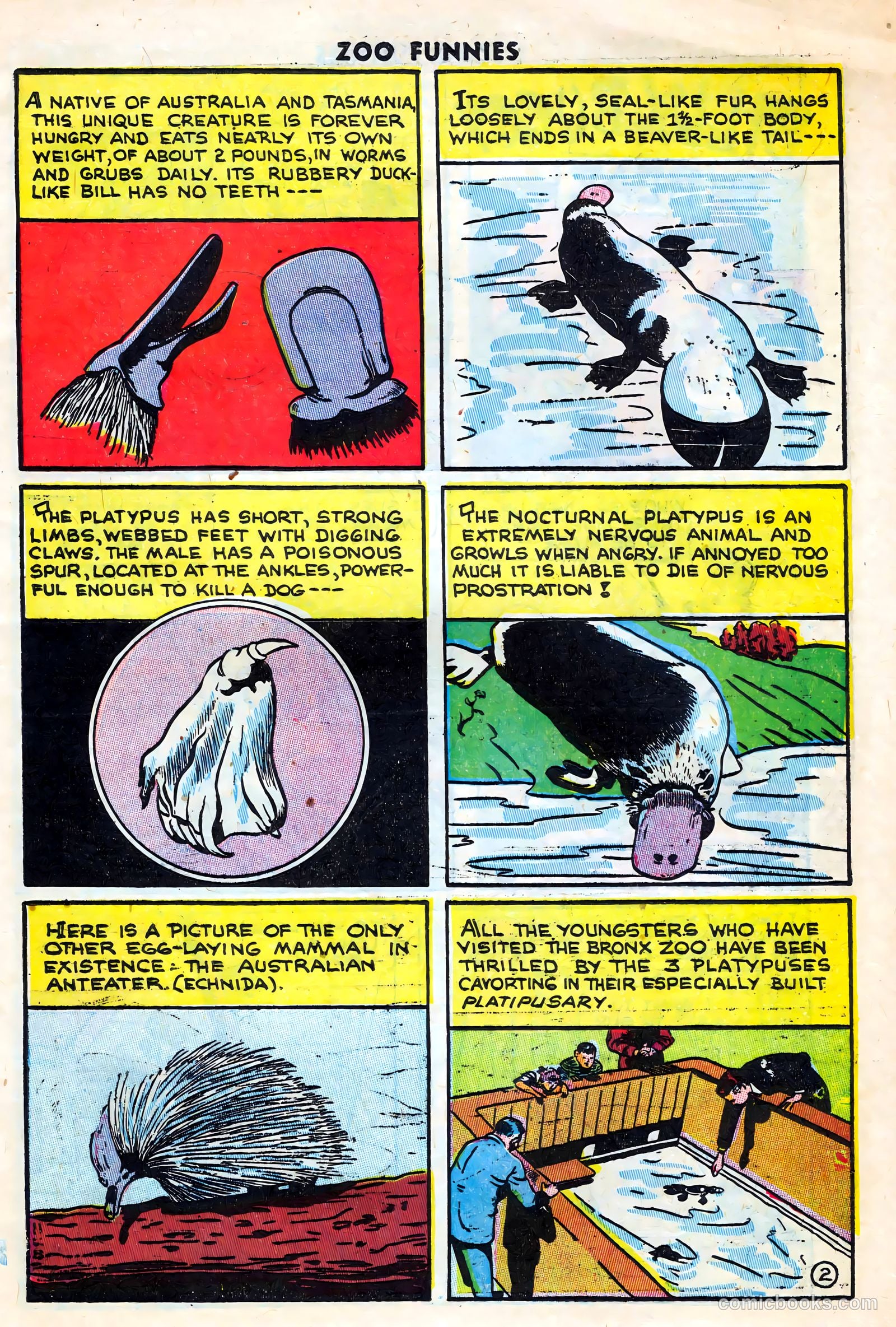 Zoo Funnies #14 (1947) — page 9 of 36