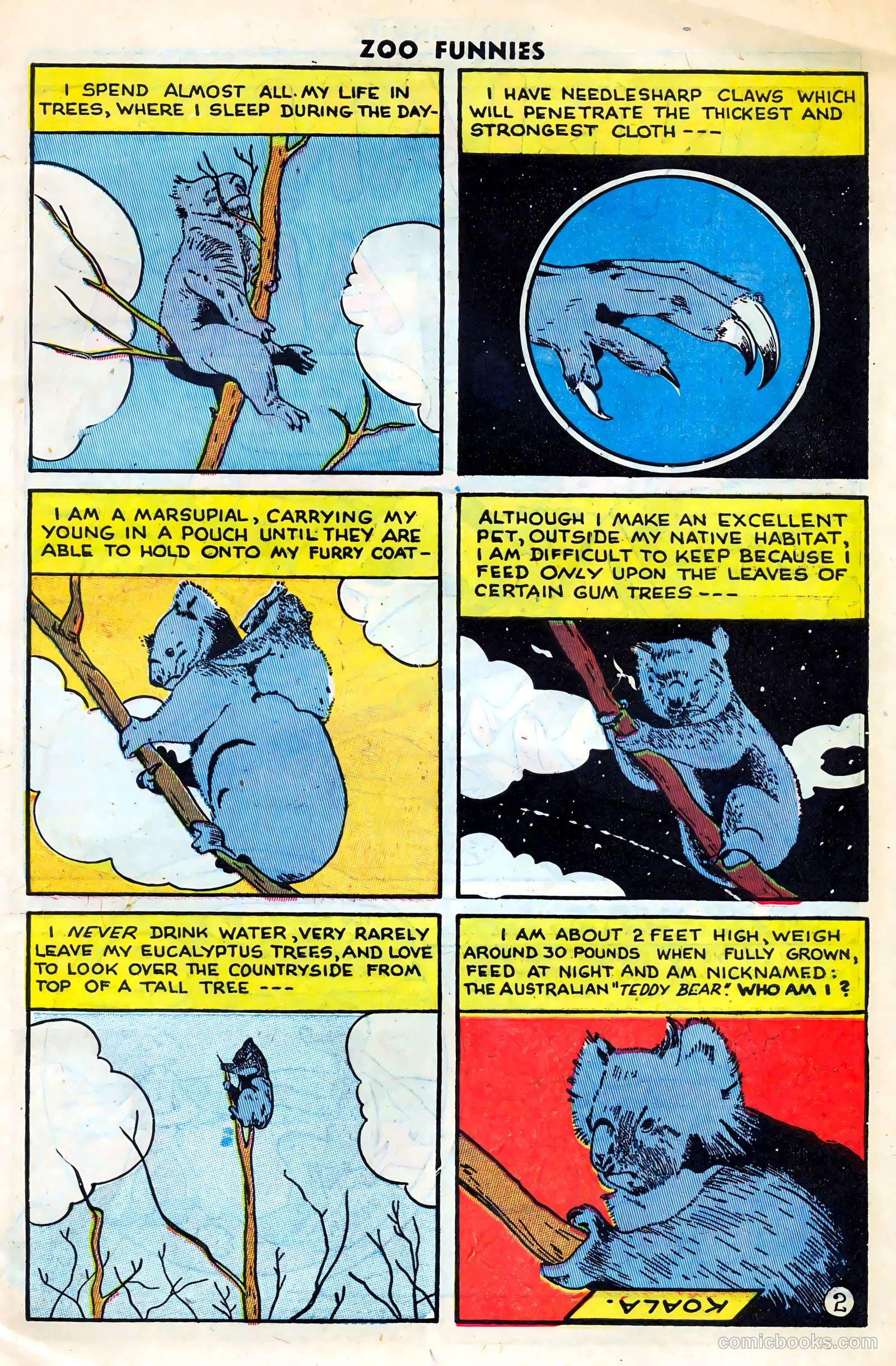 Zoo Funnies #14 (1947) — page 31 of 36