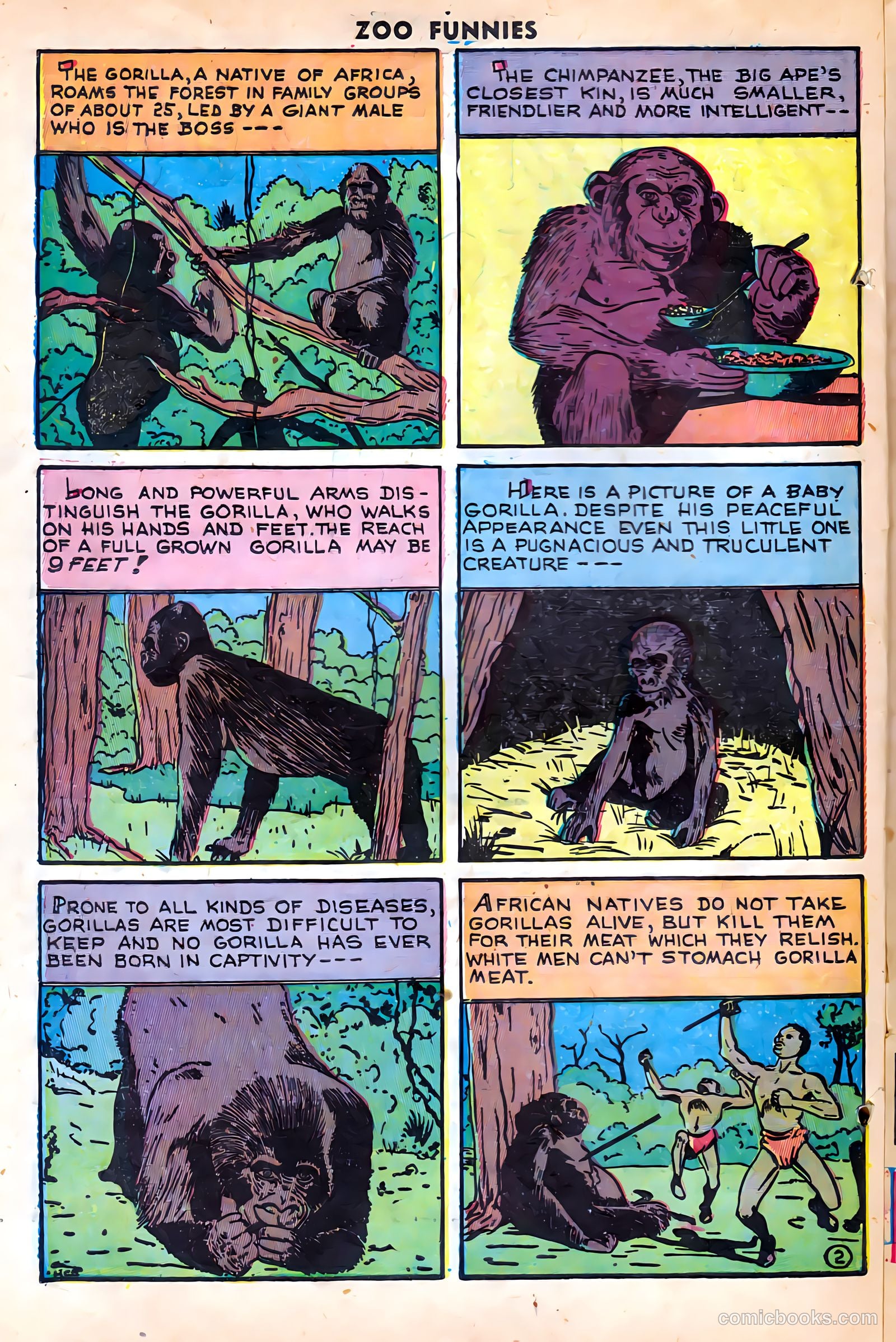 Zoo Funnies #15 (1948) — page 16 of 36