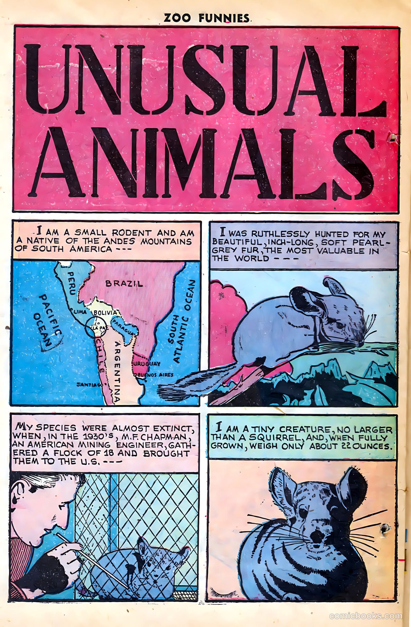 Zoo Funnies #15 (1948) — page 24 of 36