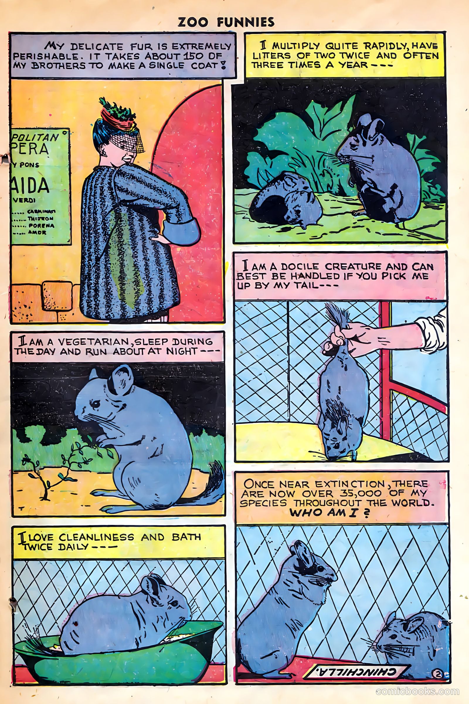 Zoo Funnies #15 (1948) — page 25 of 36