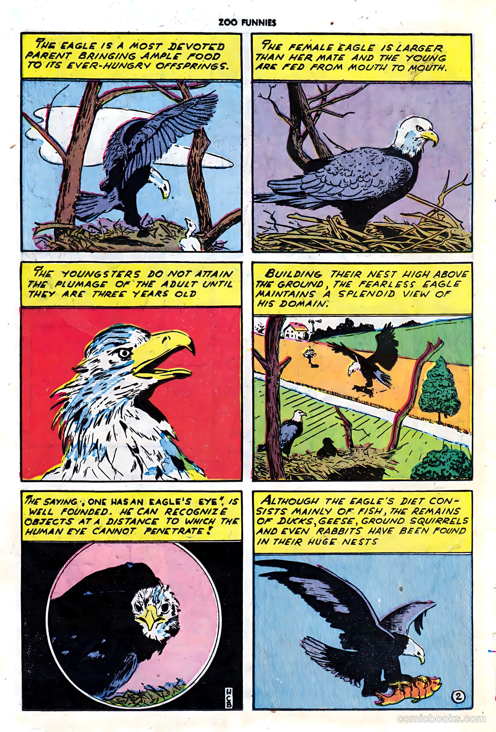 Zoo Funnies #7 (1946) — page 24 of 52