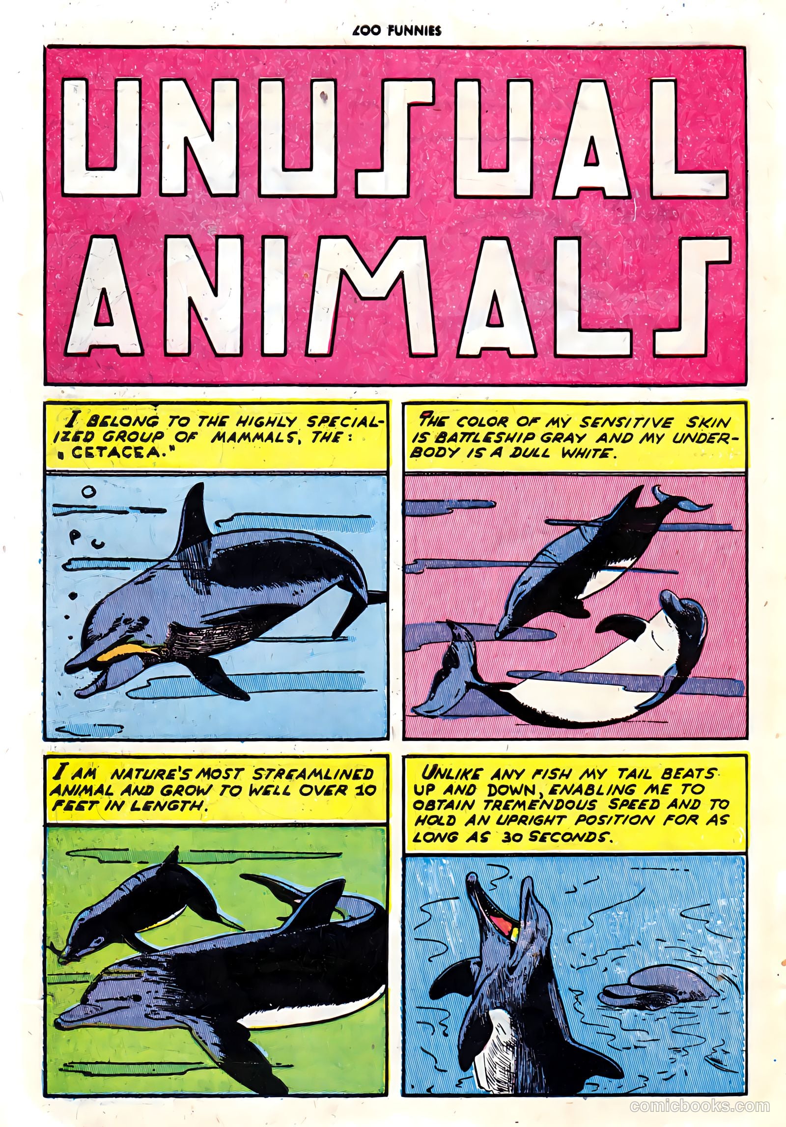 Zoo Funnies #7 (1946) — page 42 of 52