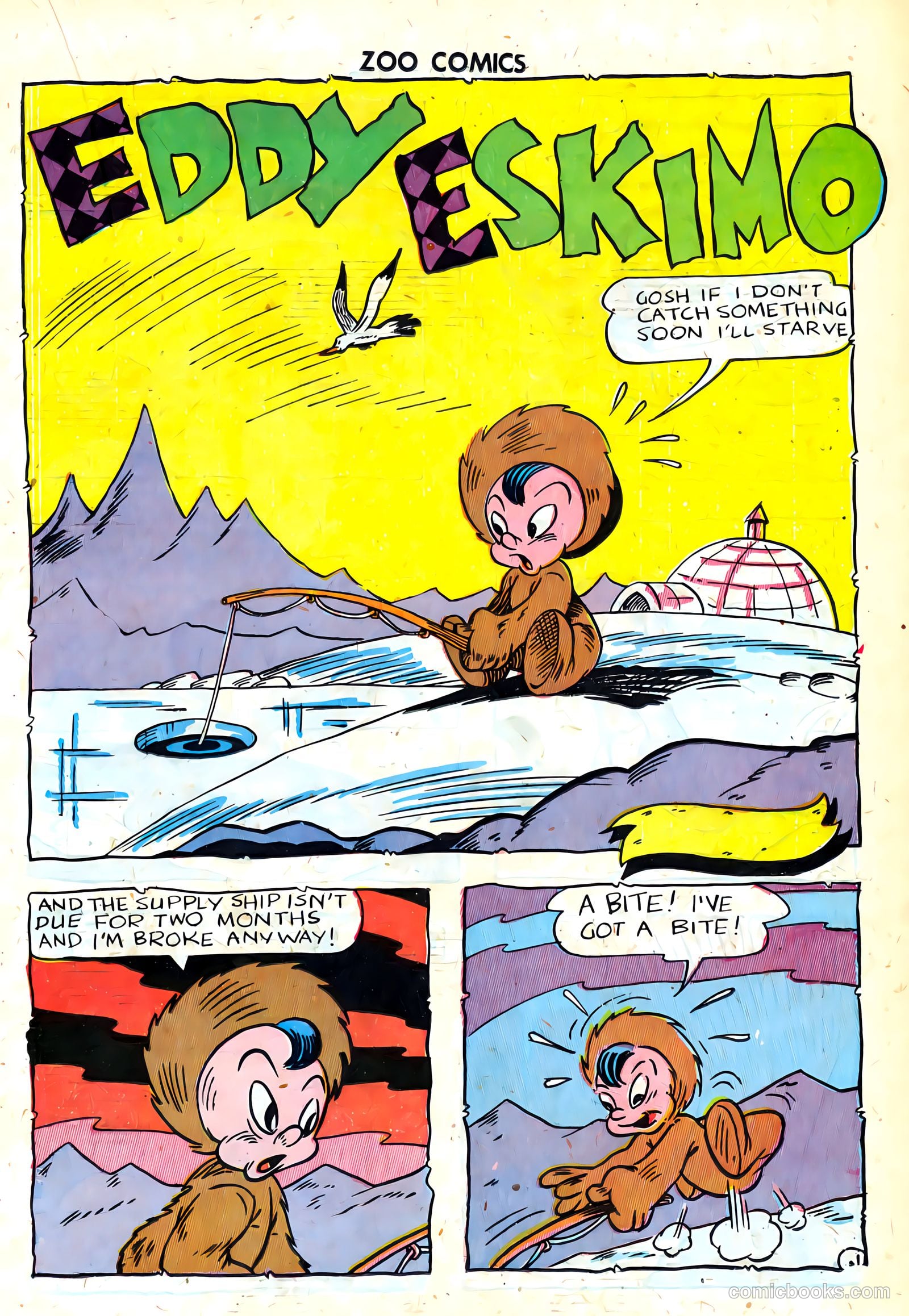 Zoo Funnies #8 (1946) — page 27 of 52