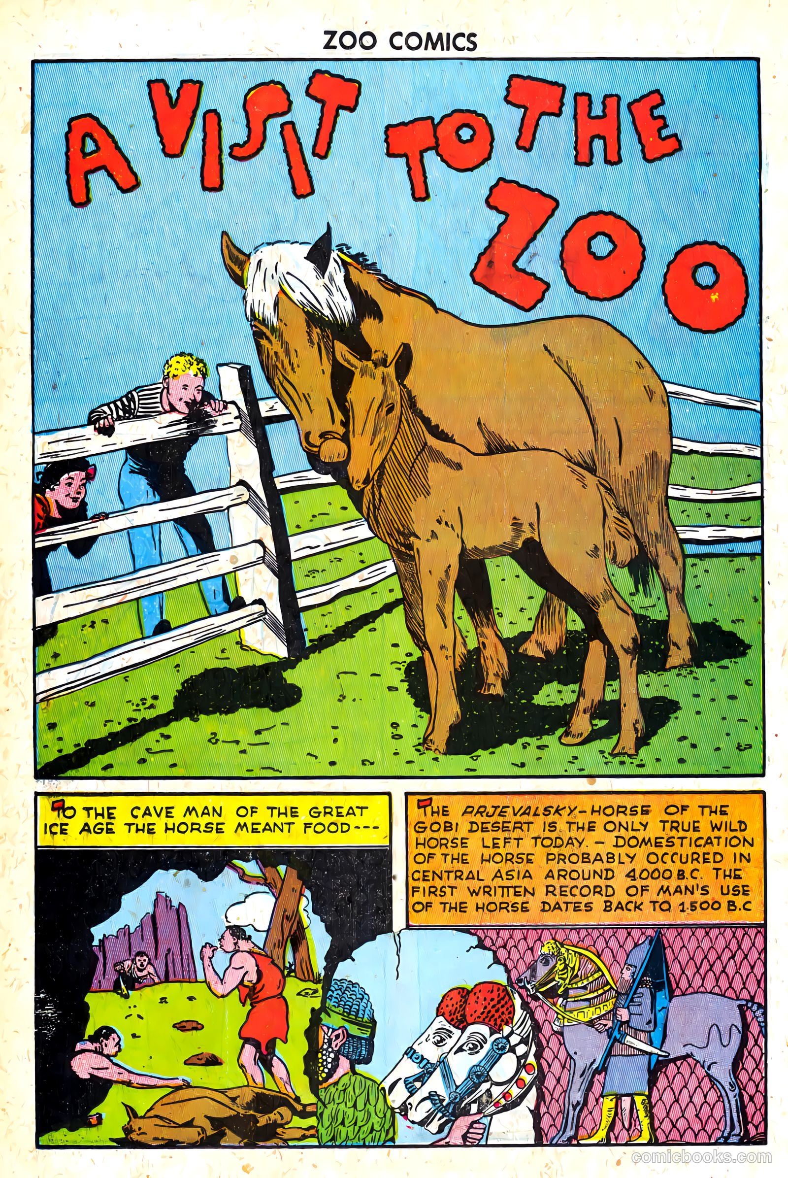 Zoo Funnies #8 (1946) — page 34 of 52