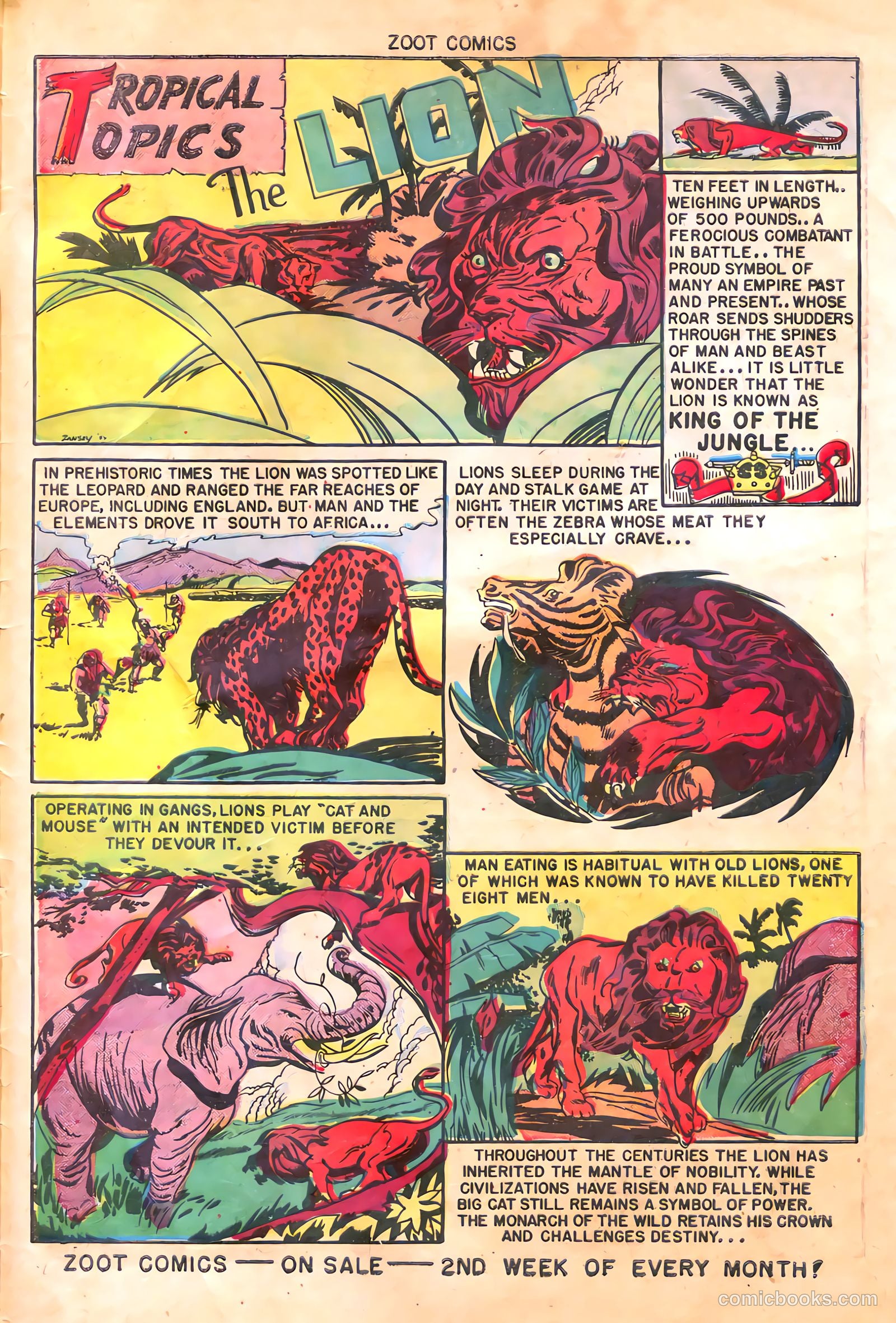 Zoot Comics #12 (1948) — page 36 of 39