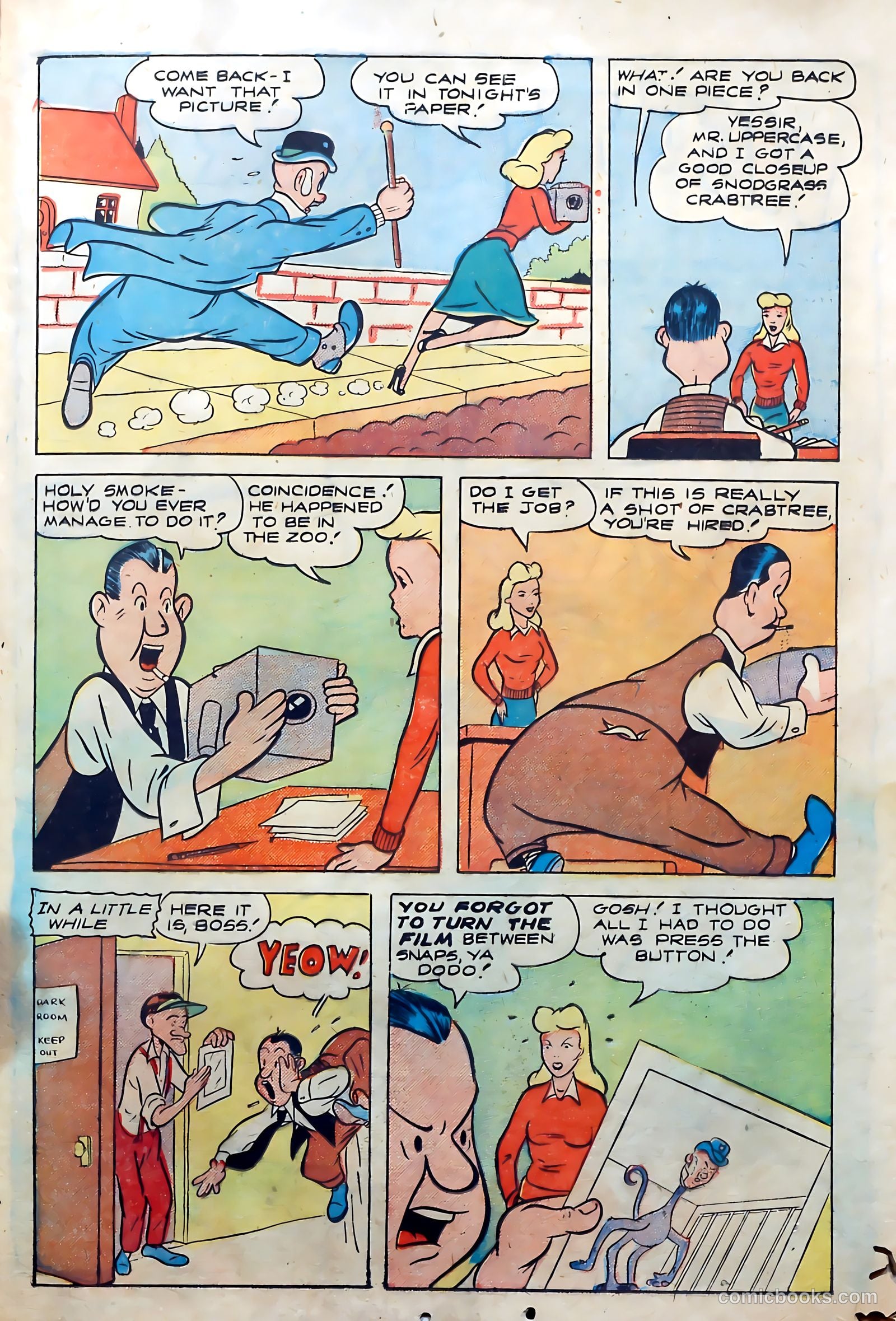 Zoot Comics #5 (1947) — page 23 of 36