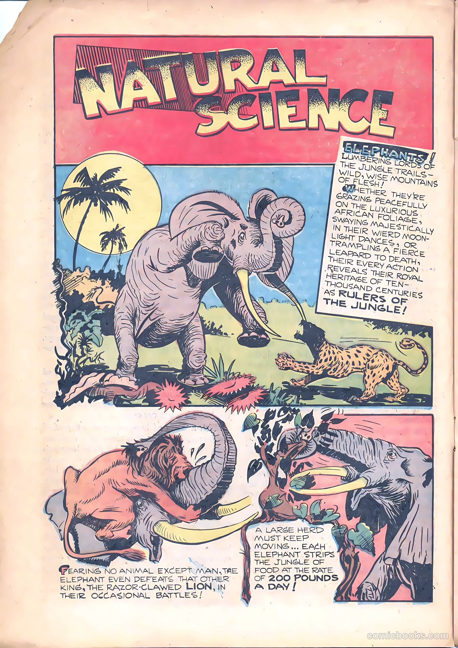 Zoot Comics #8 (1947) — page 16 of 34