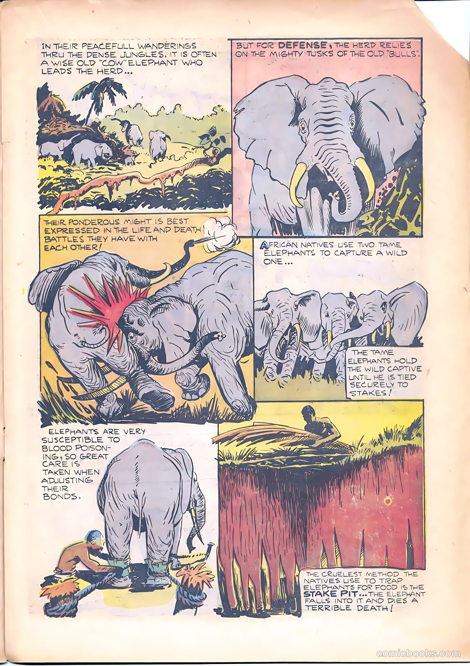 Zoot Comics #8 (1947) — page 17 of 34