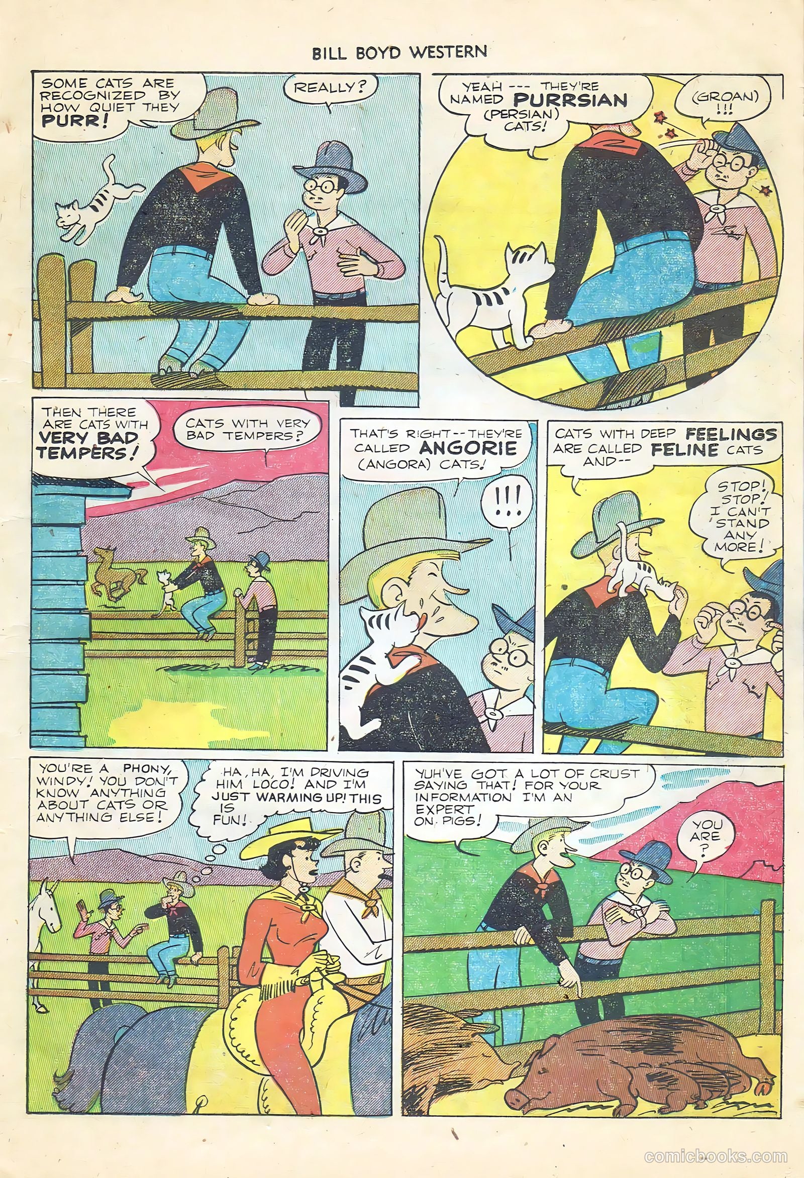 Bill Boyd Western #23 (1952) — page 13 of 36