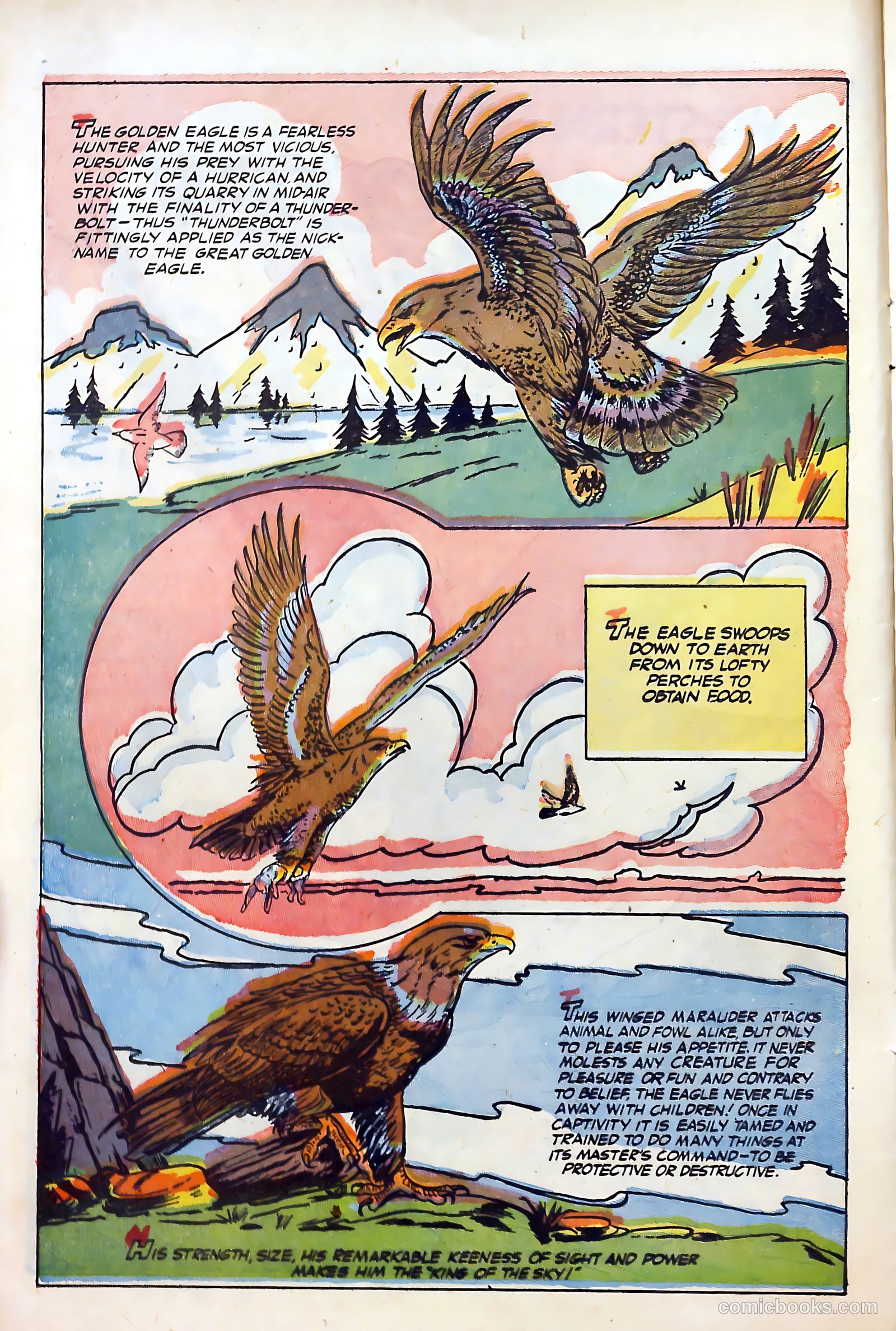 Billy the Kid Adventure Magazine #29 (1955) — page 14 of 36