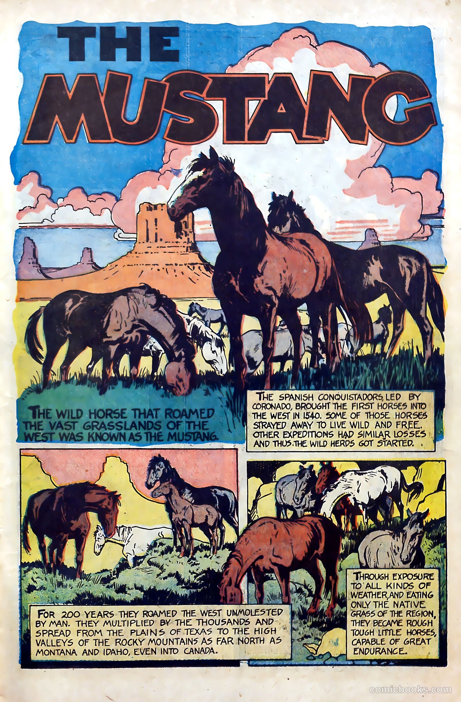 Billy the Kid Adventure Magazine #4 (1951) — page 13 of 36