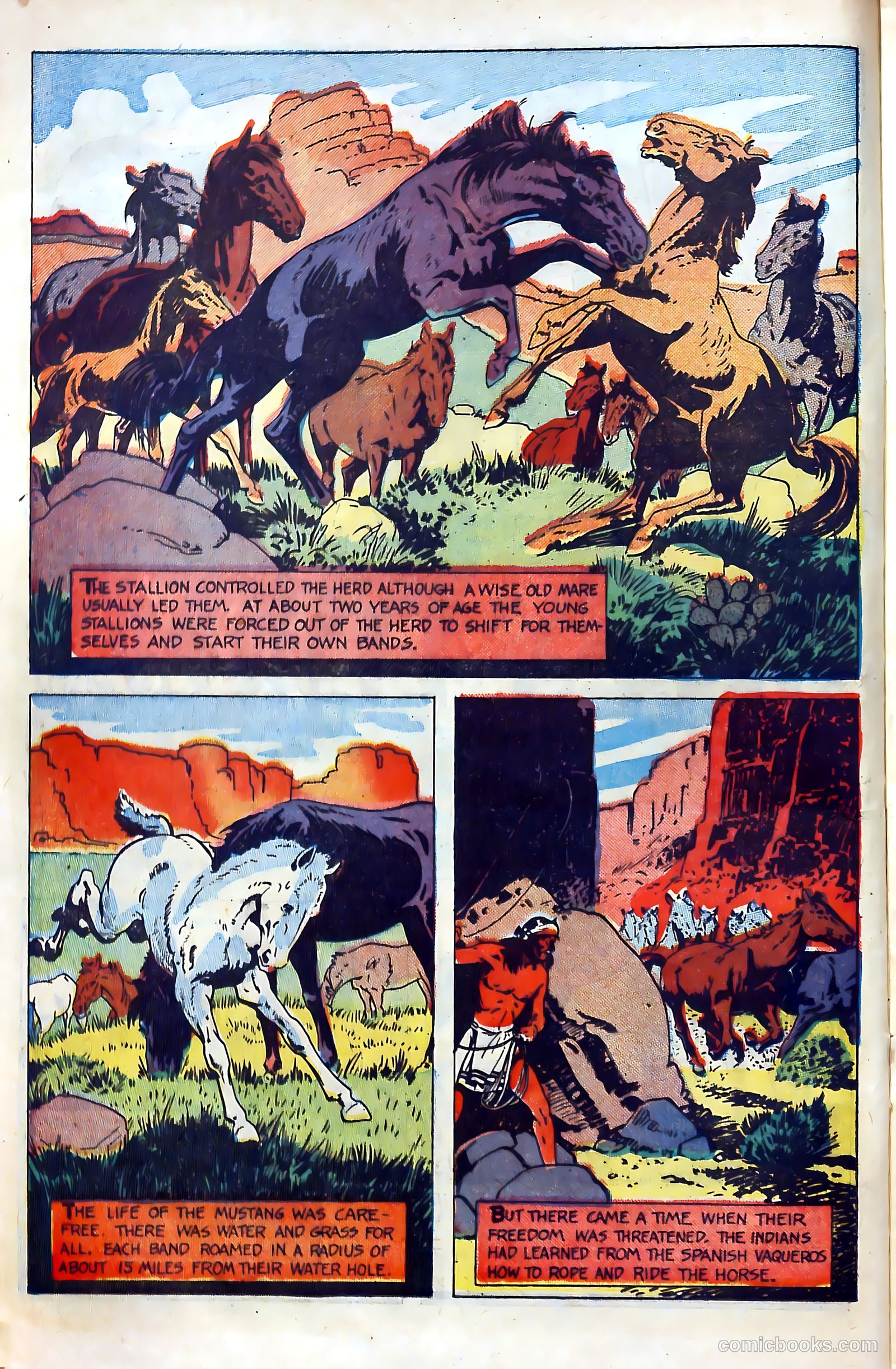 Billy the Kid Adventure Magazine #4 (1951) — page 14 of 36