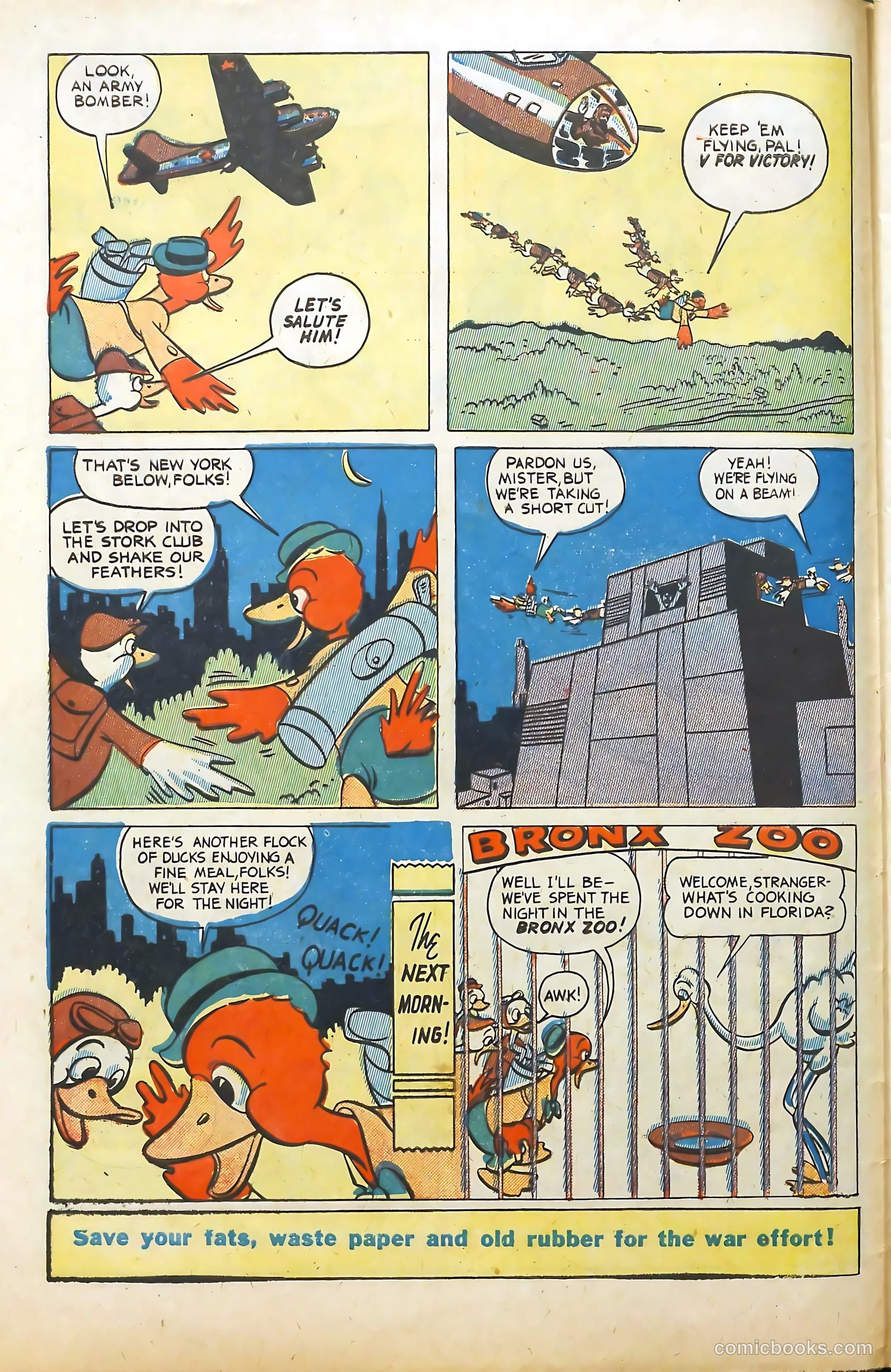 Bird Comics #1 (1986) — page 8 of 53