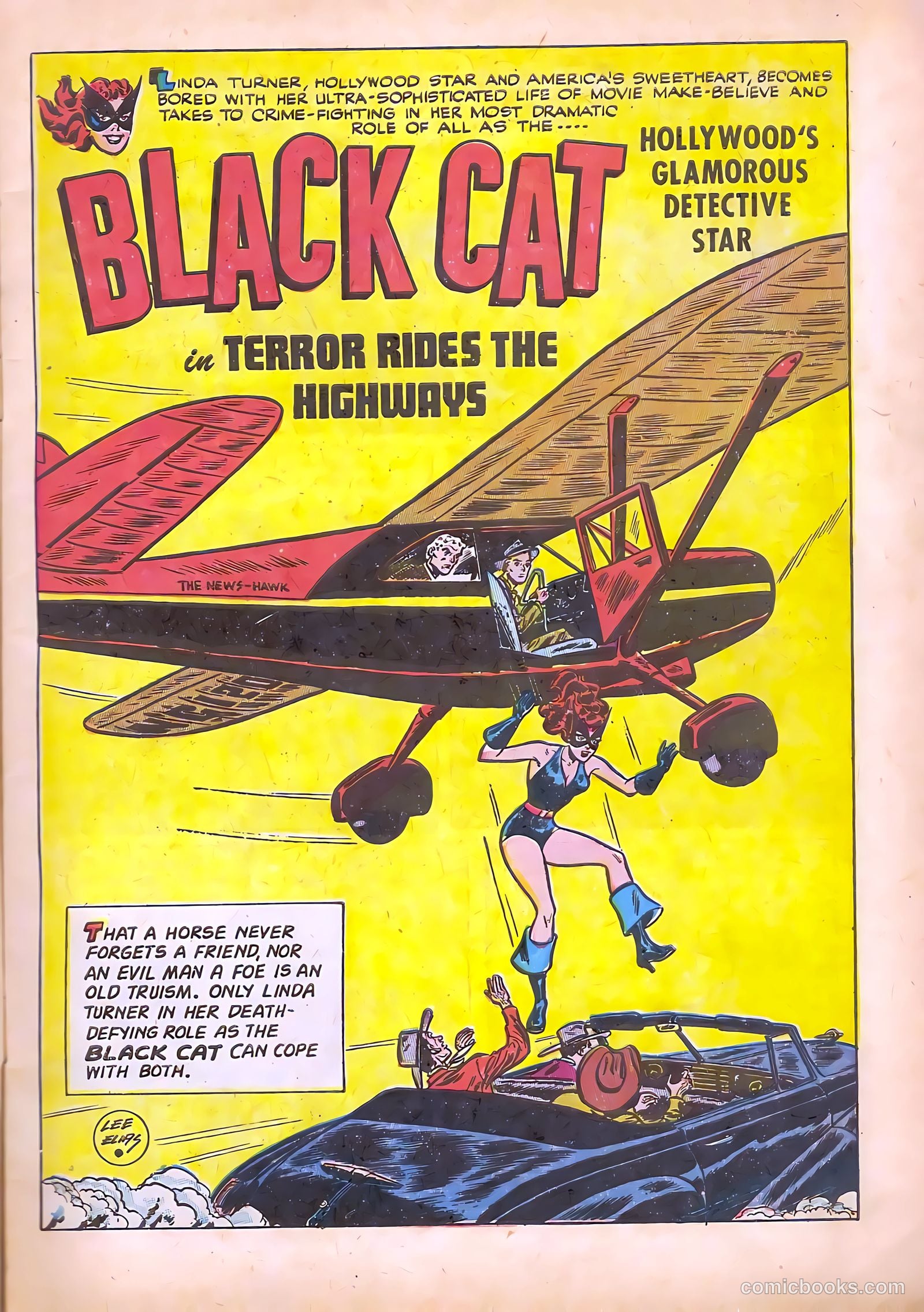 Black Cat #11 (1918) — page 5 of 52
