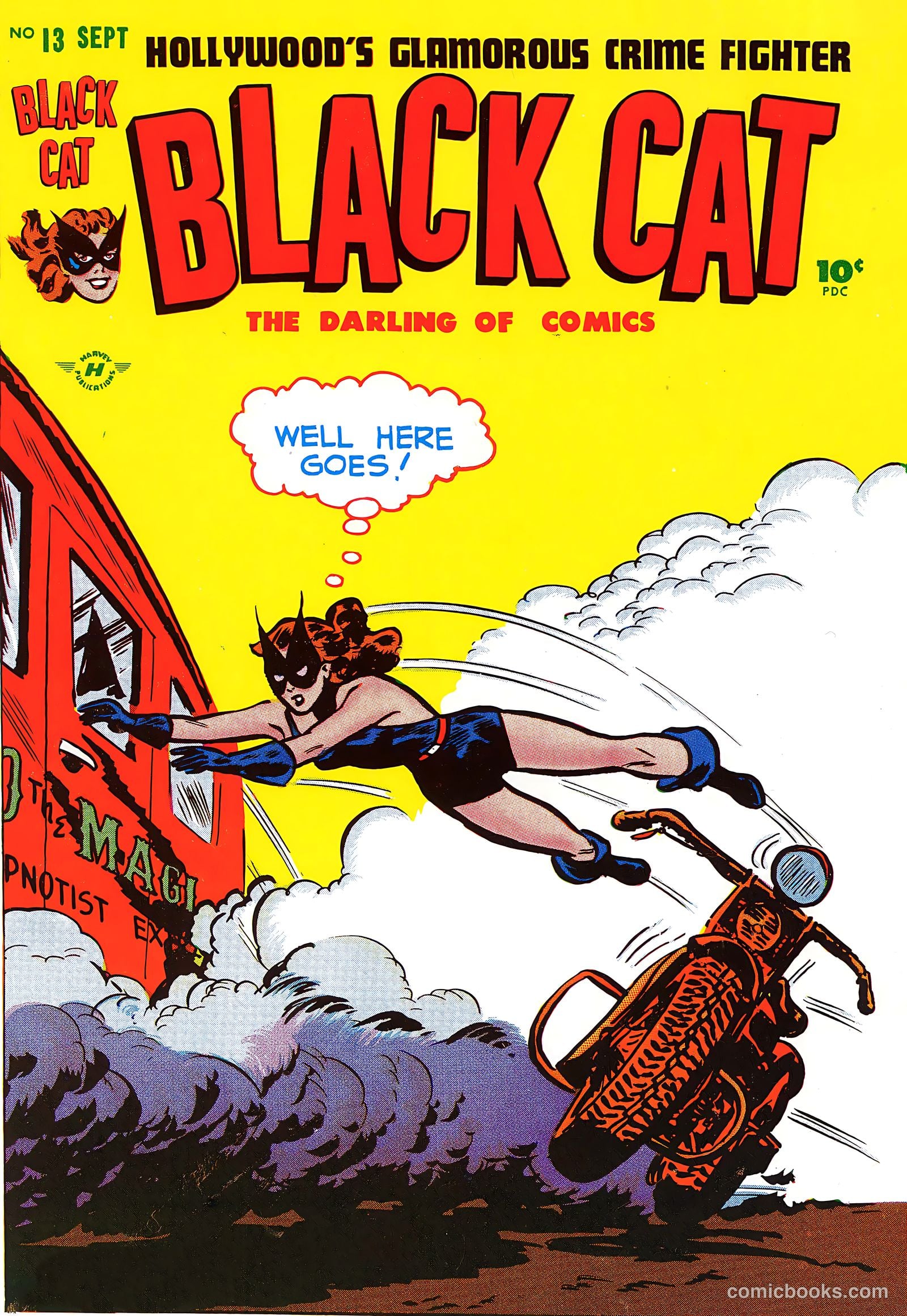 Black Cat #13