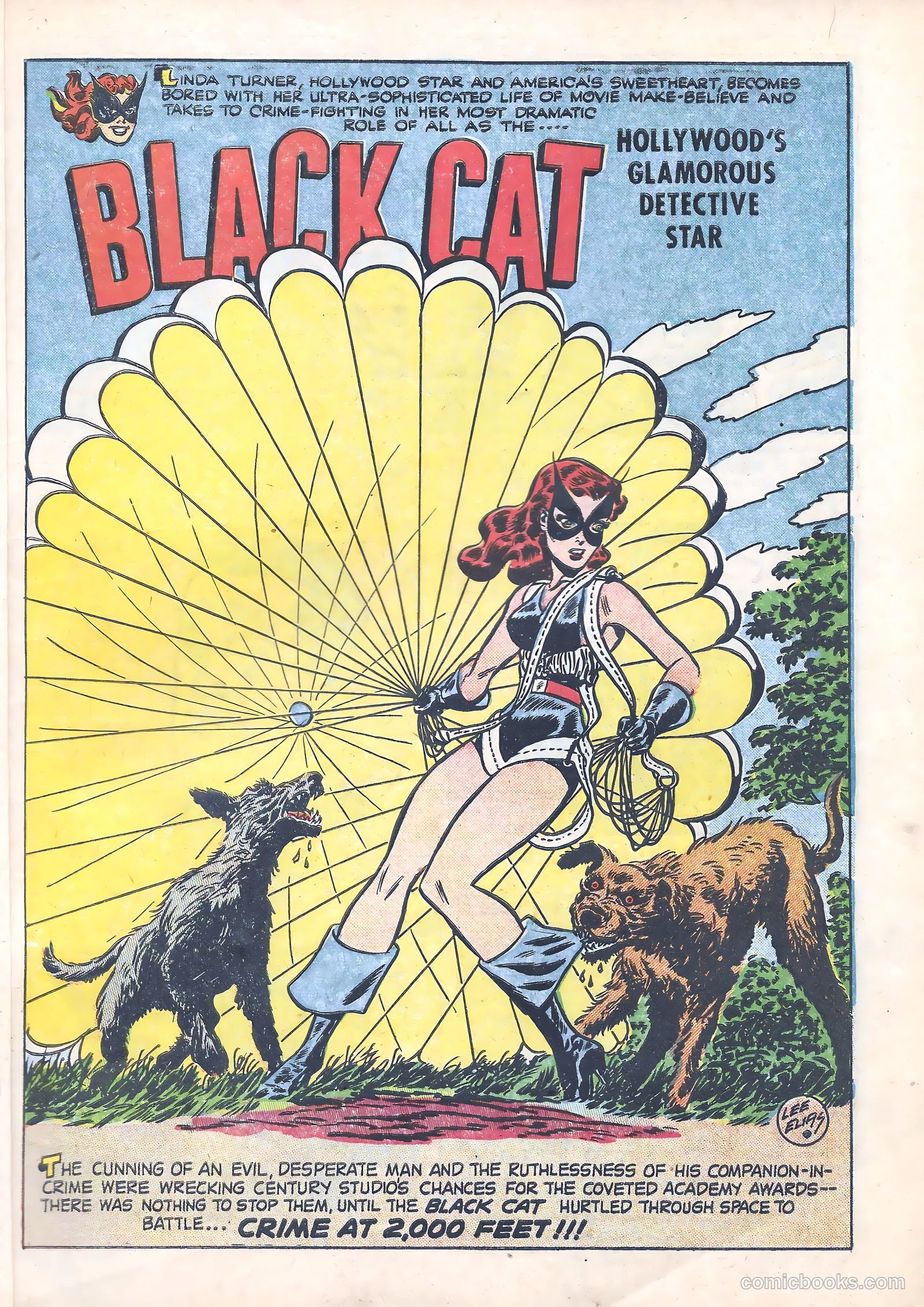 Black Cat #13 (1948) — page 6 of 53
