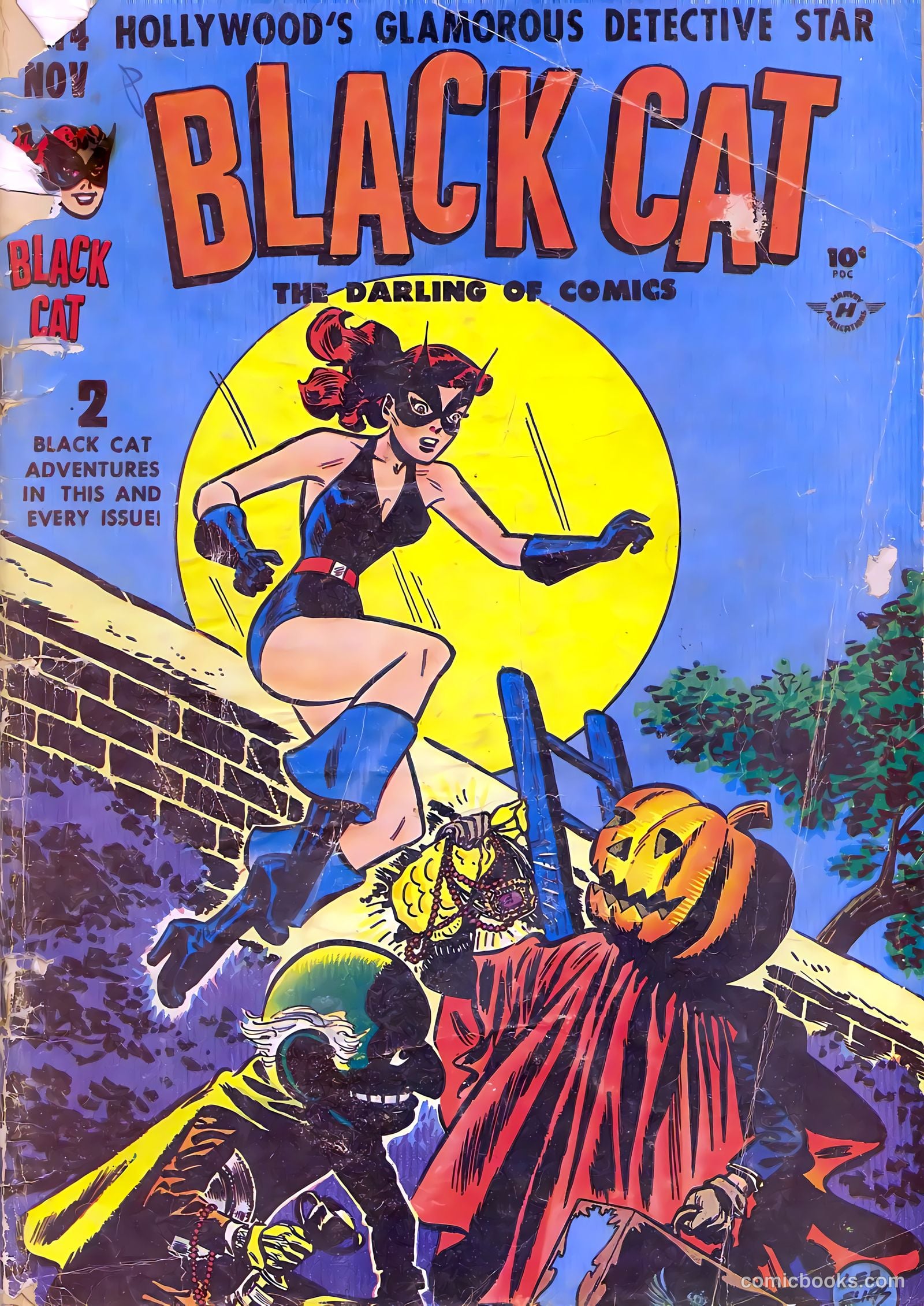 Black Cat #14