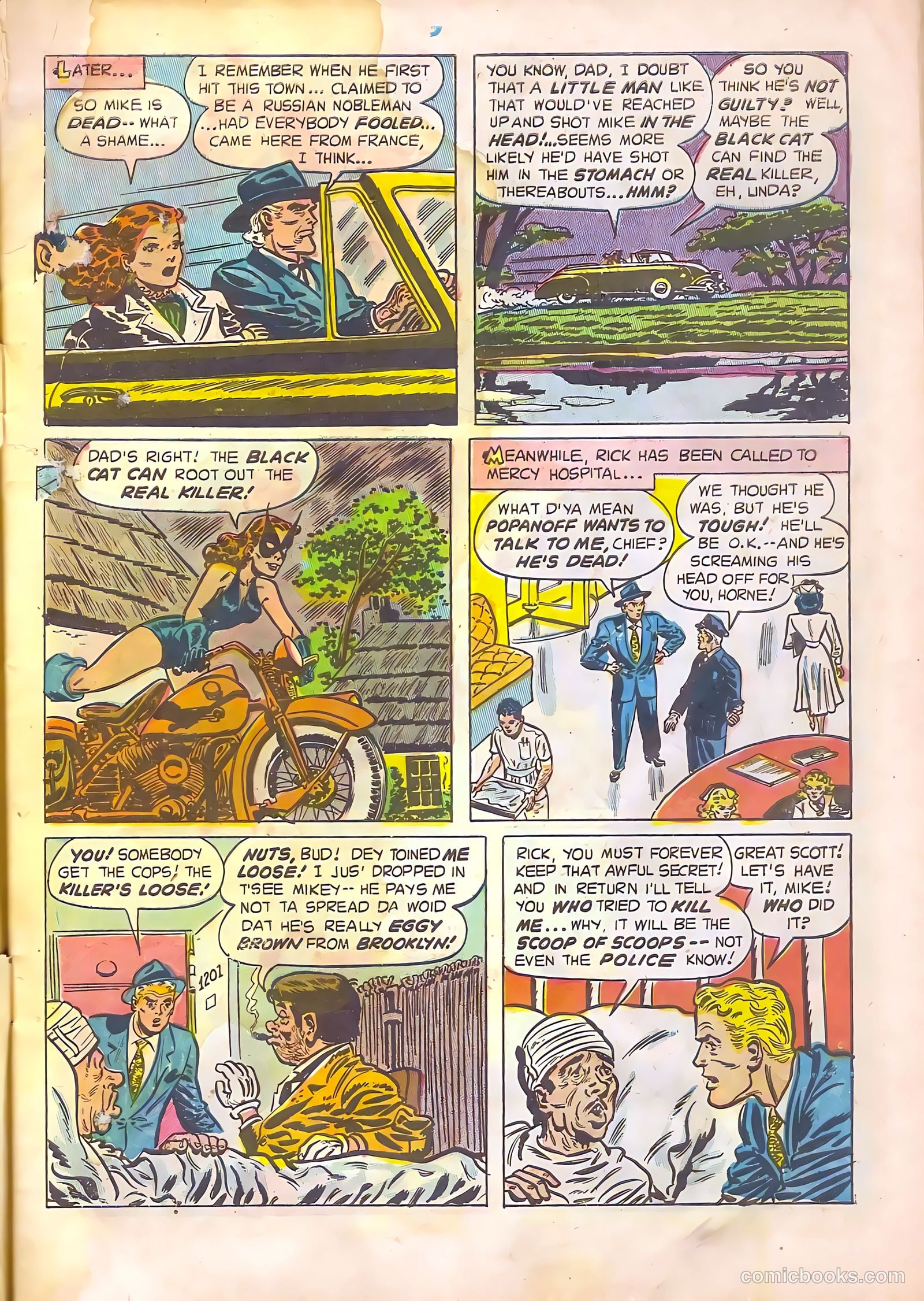 Black Cat #14 (1948) — page 9 of 52