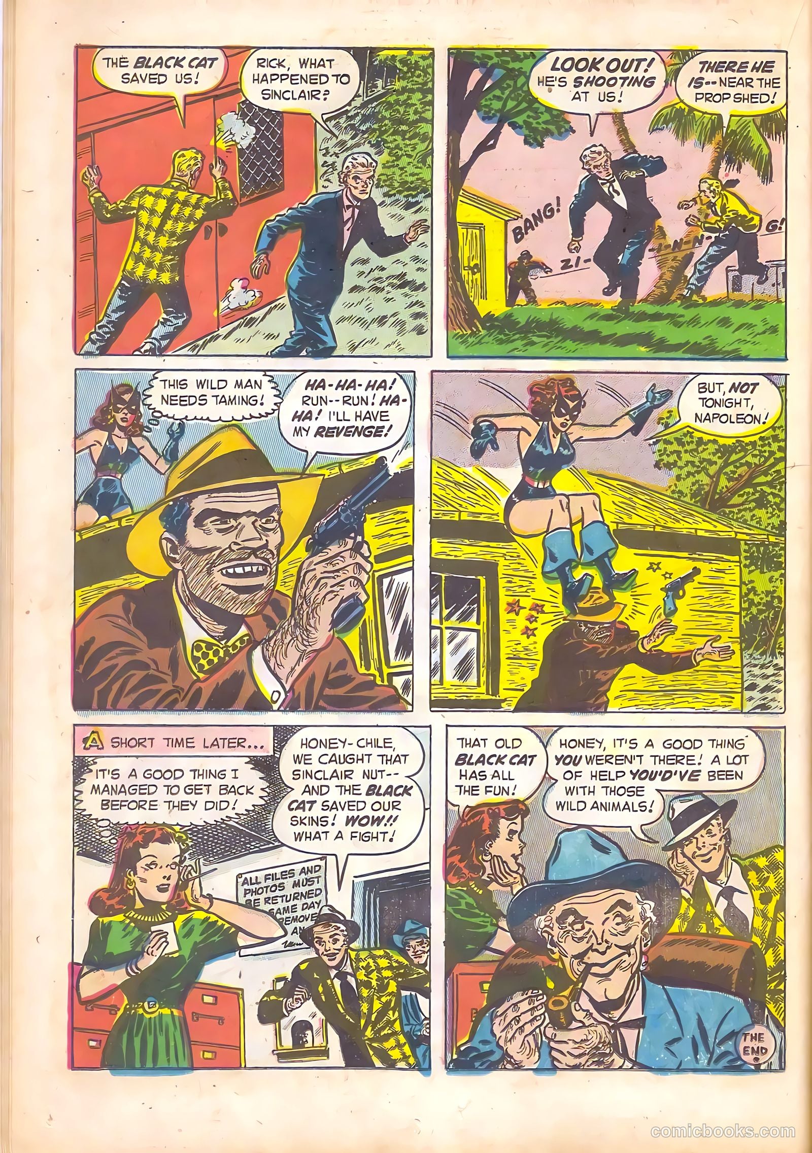 Black Cat #14 (1948) — page 20 of 52