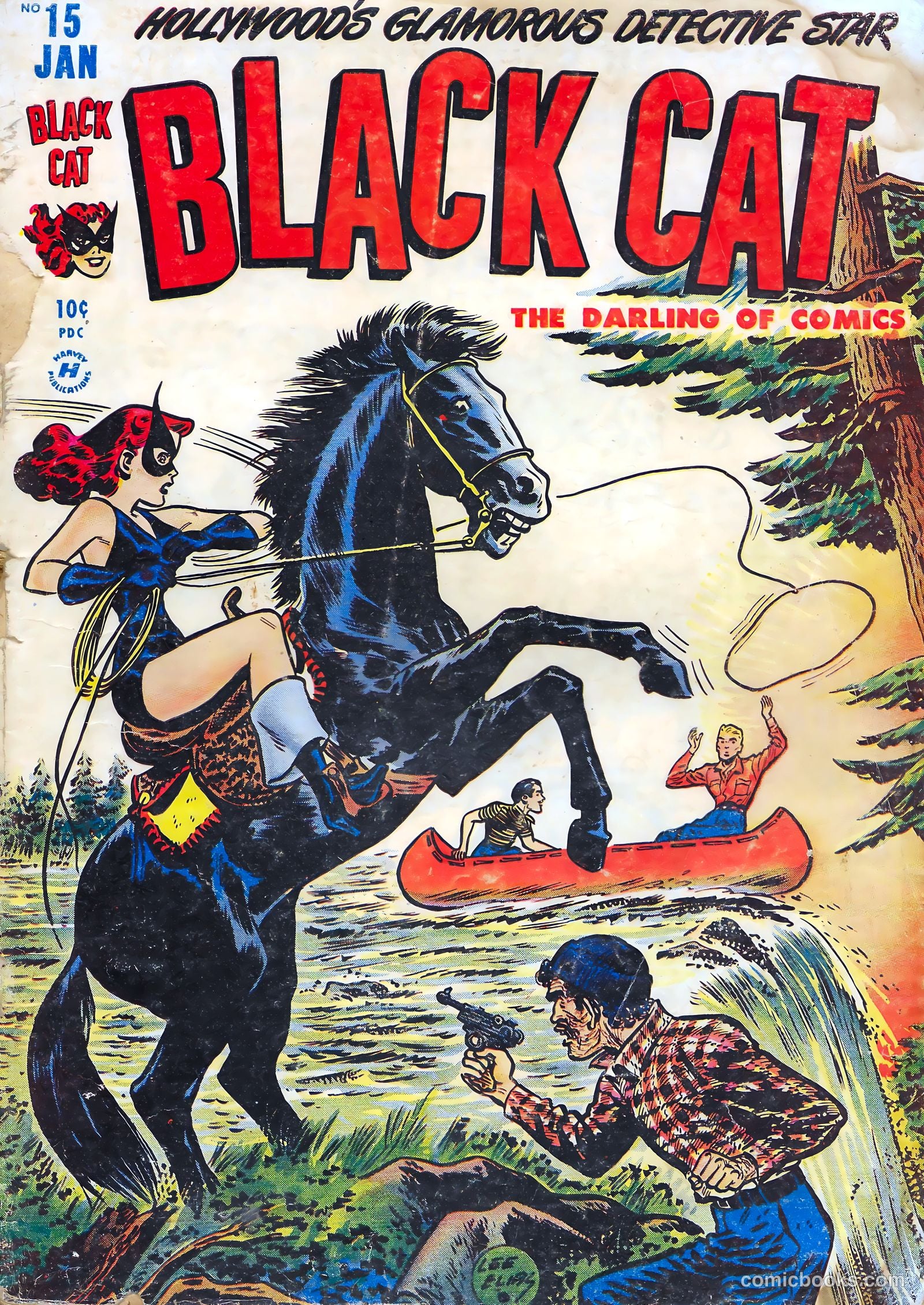 Black Cat #15