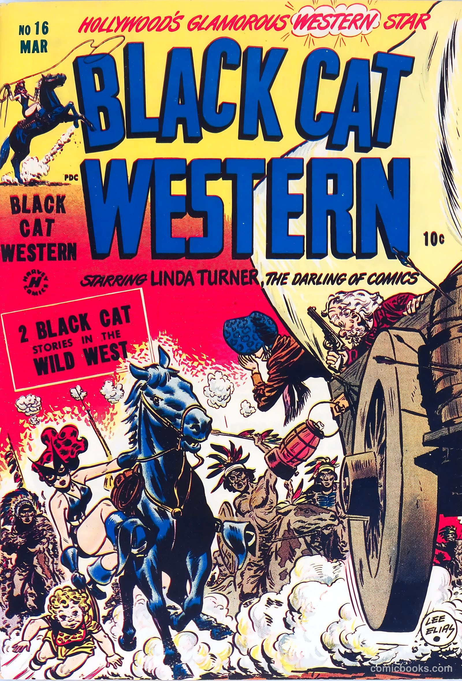 Black Cat #16