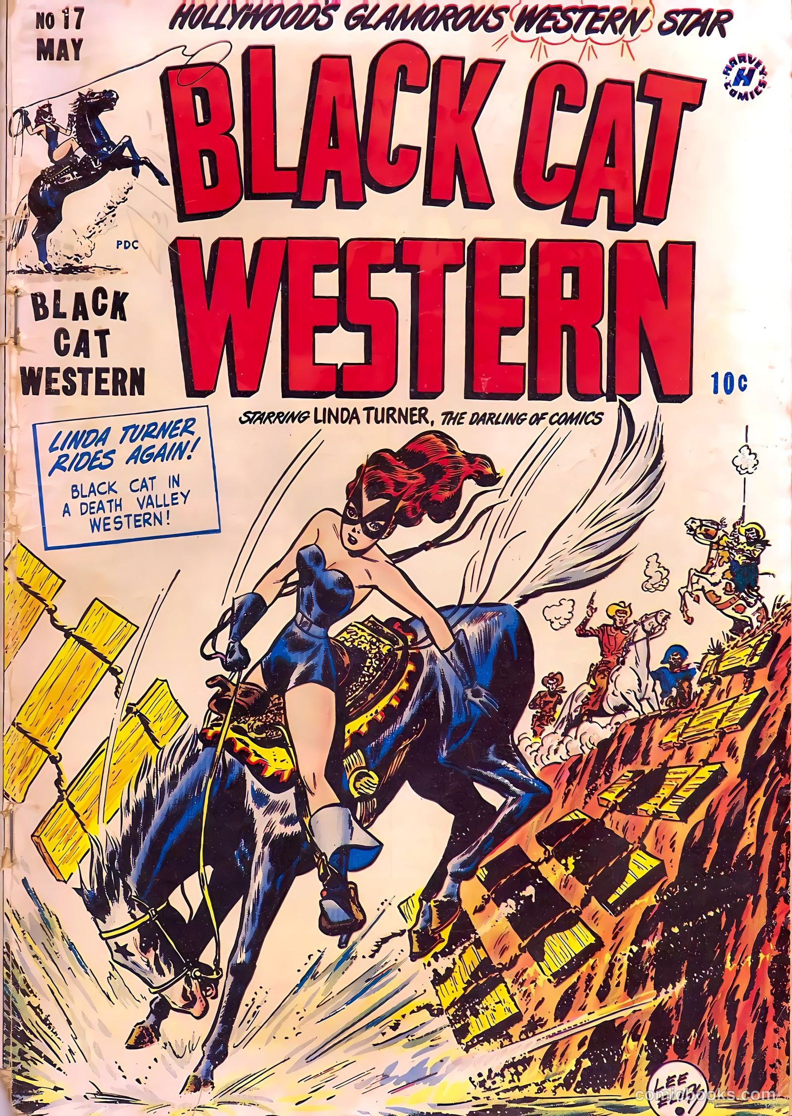 Black Cat #17
