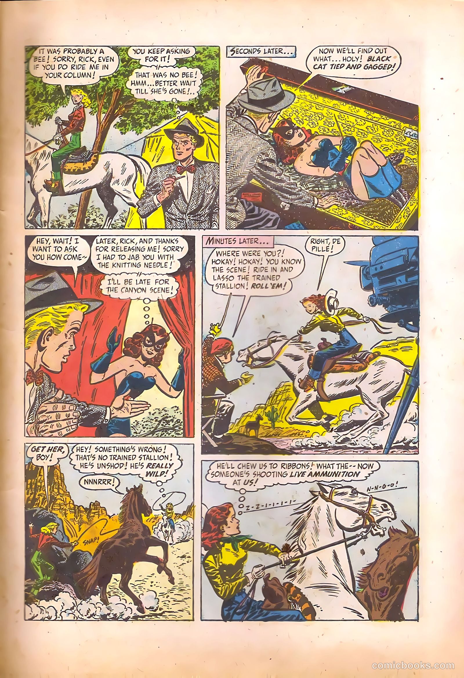 Black Cat #17 (1949) — page 11 of 52