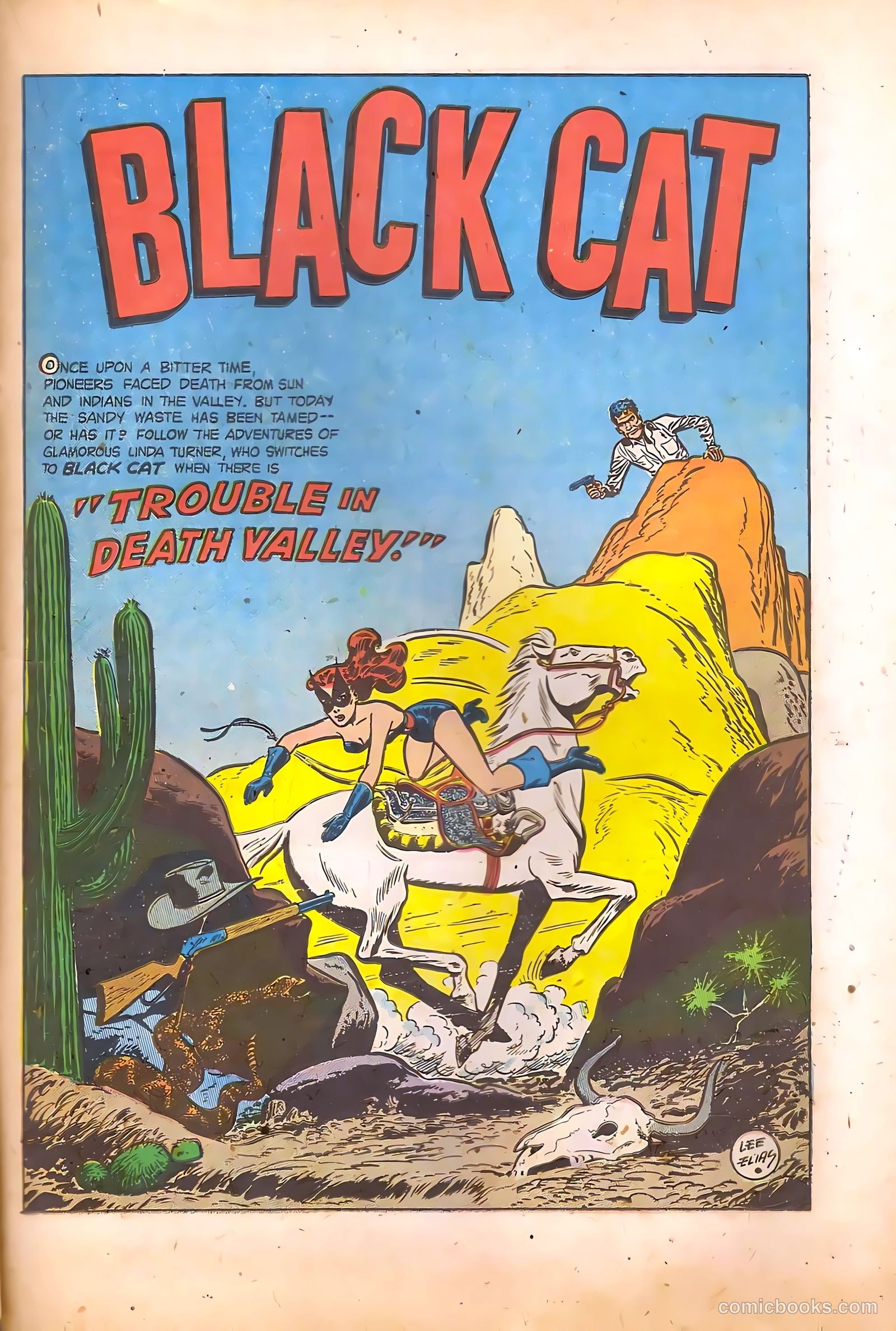 Black Cat #17 (1949) — page 29 of 52