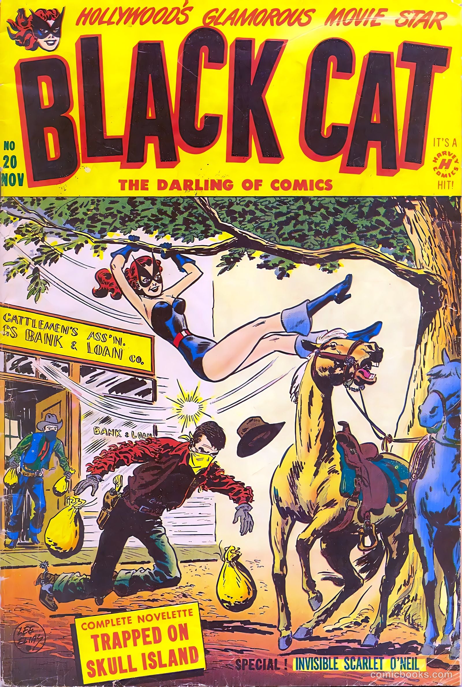 Black Cat #20