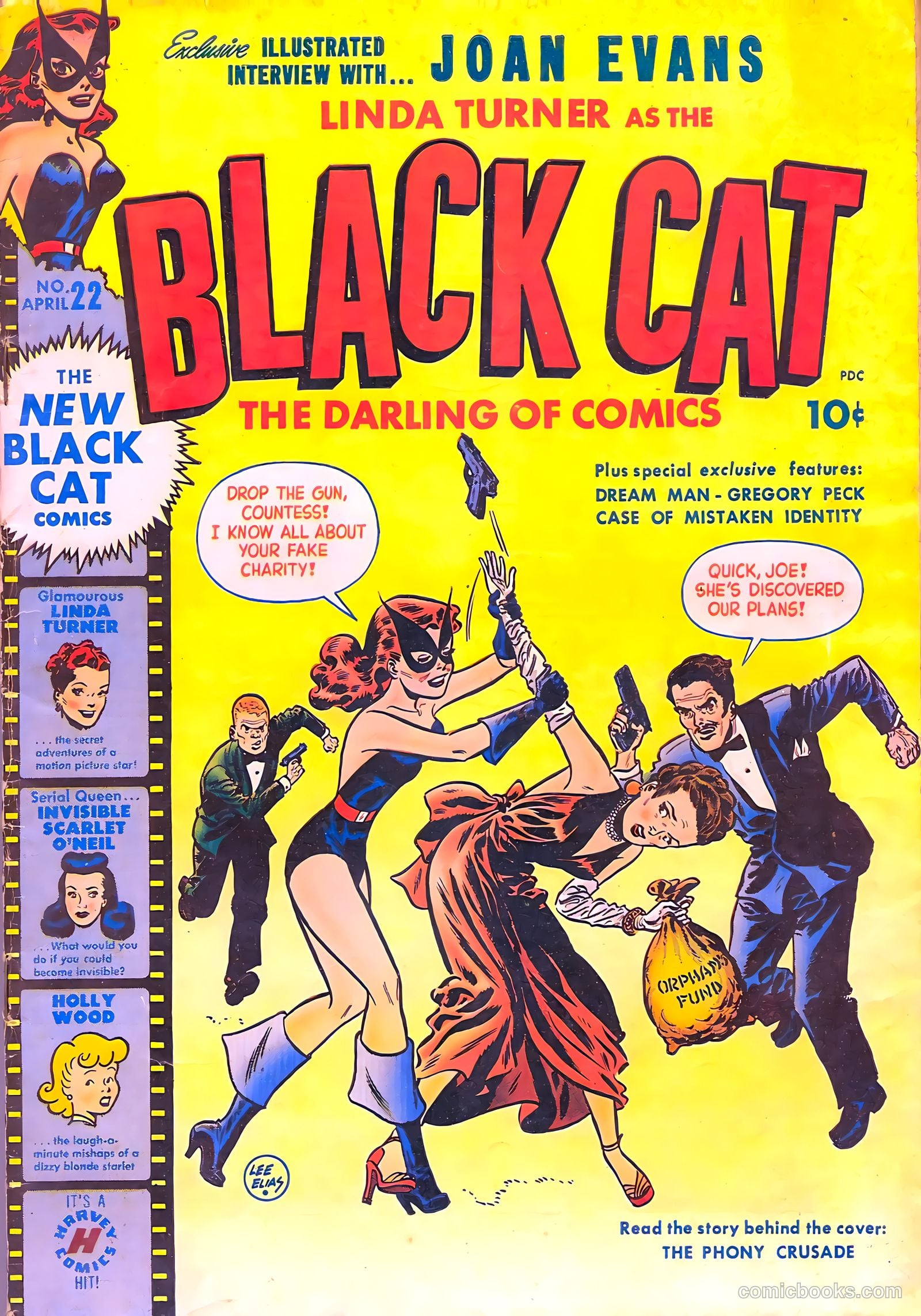 Black Cat #22