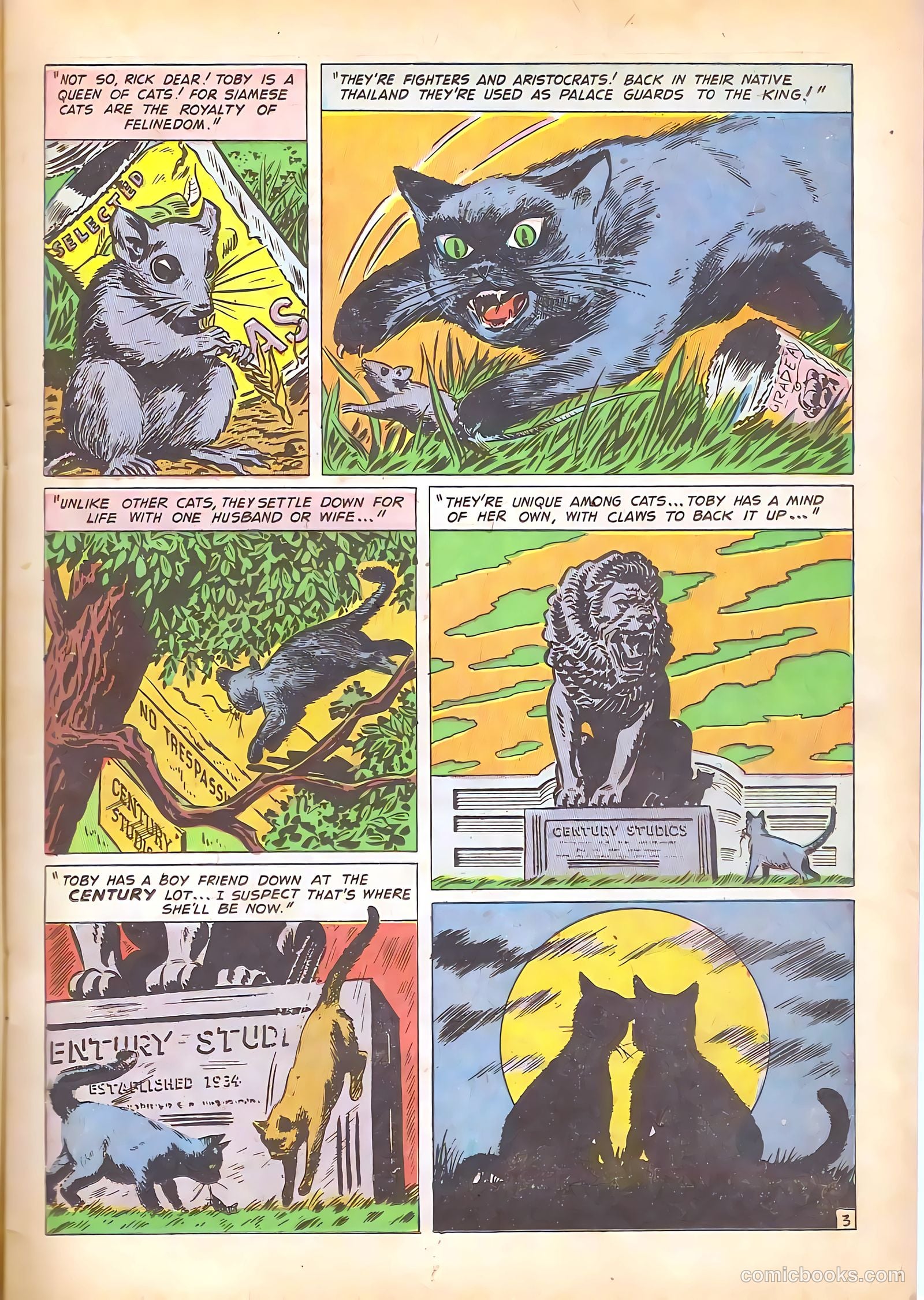 Black Cat Comics #8 (1947) — page 15 of 52