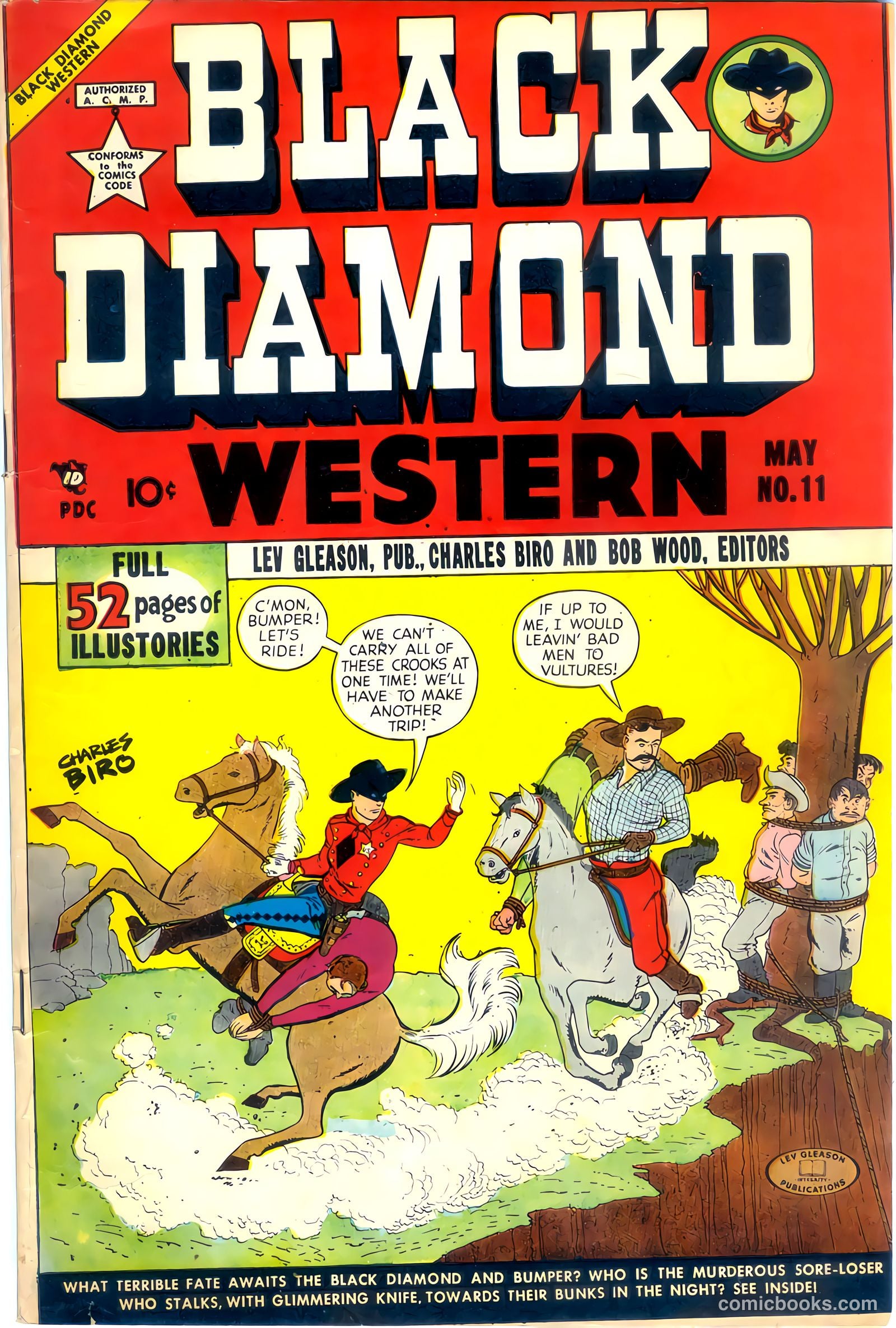 Black Diamond Western #11