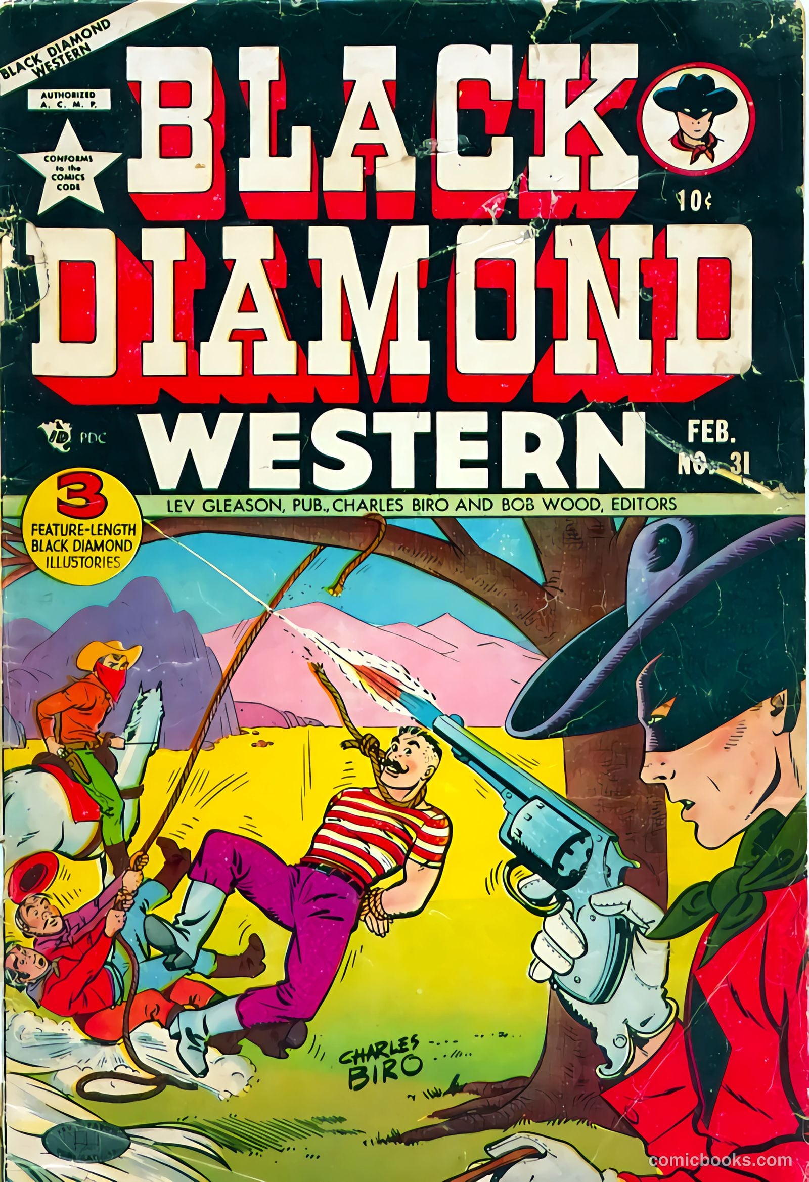 Black Diamond Western #31