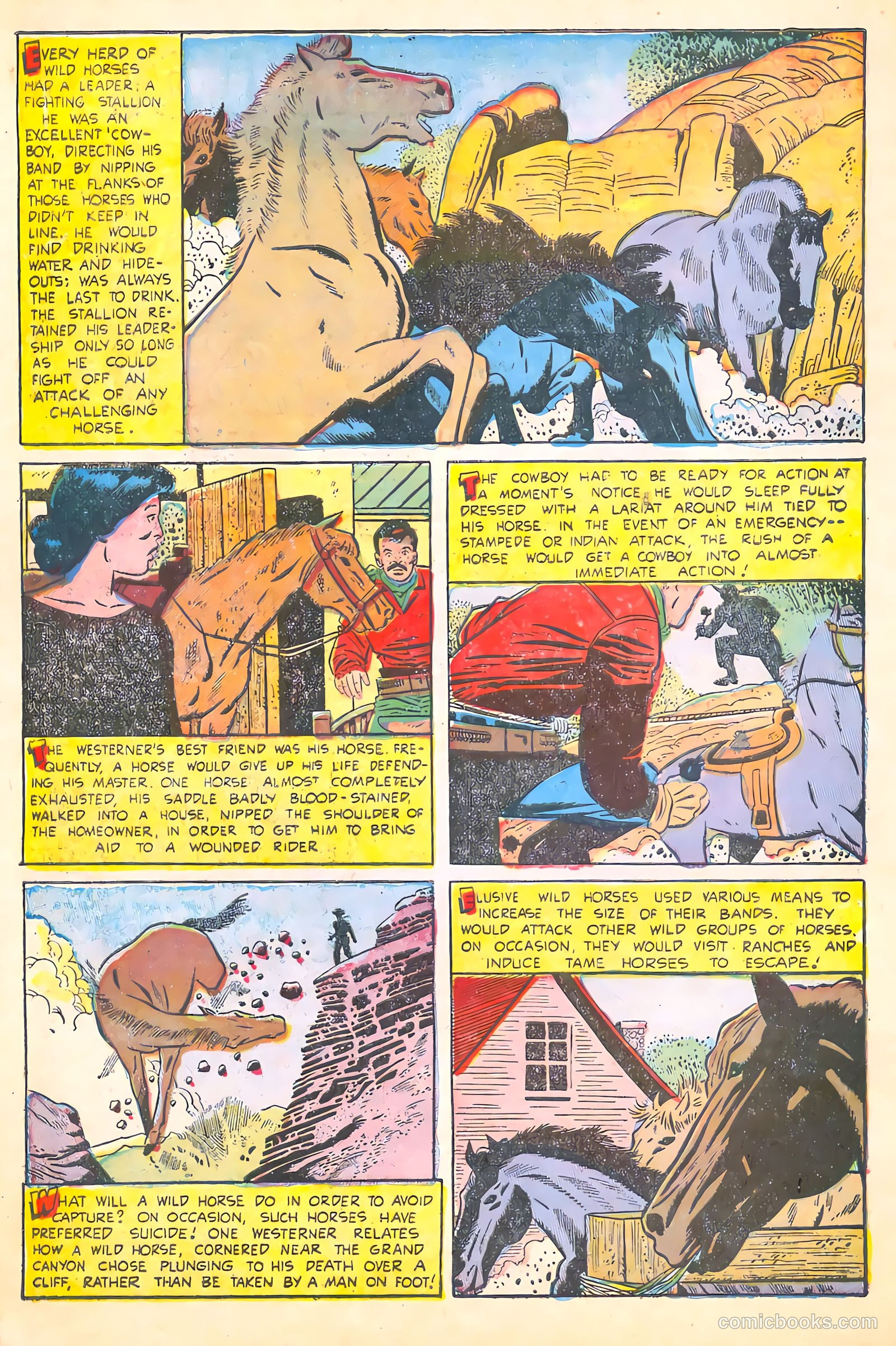 Black Diamond Western #55 (1955) — page 32 of 36