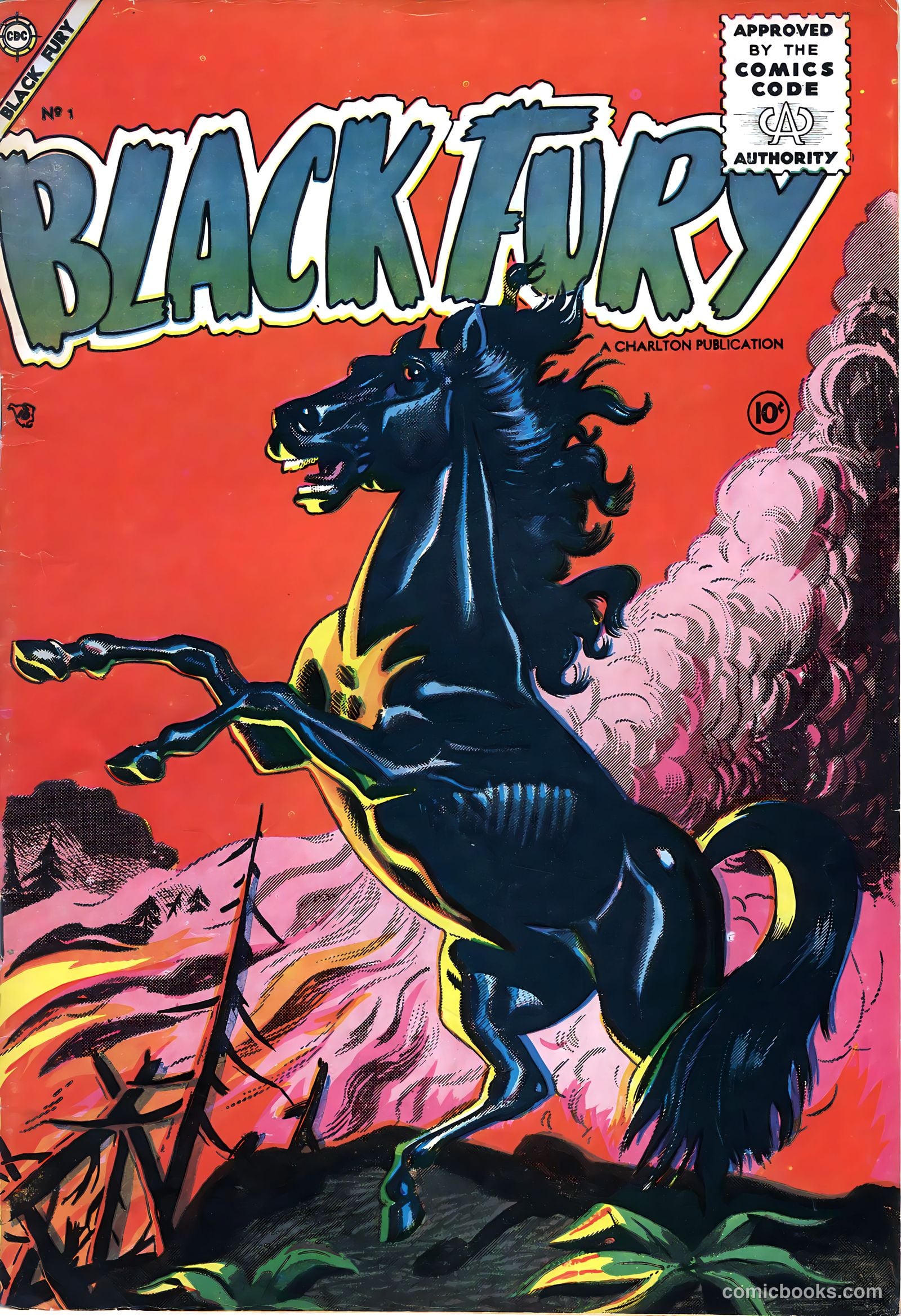 Black Fury #1