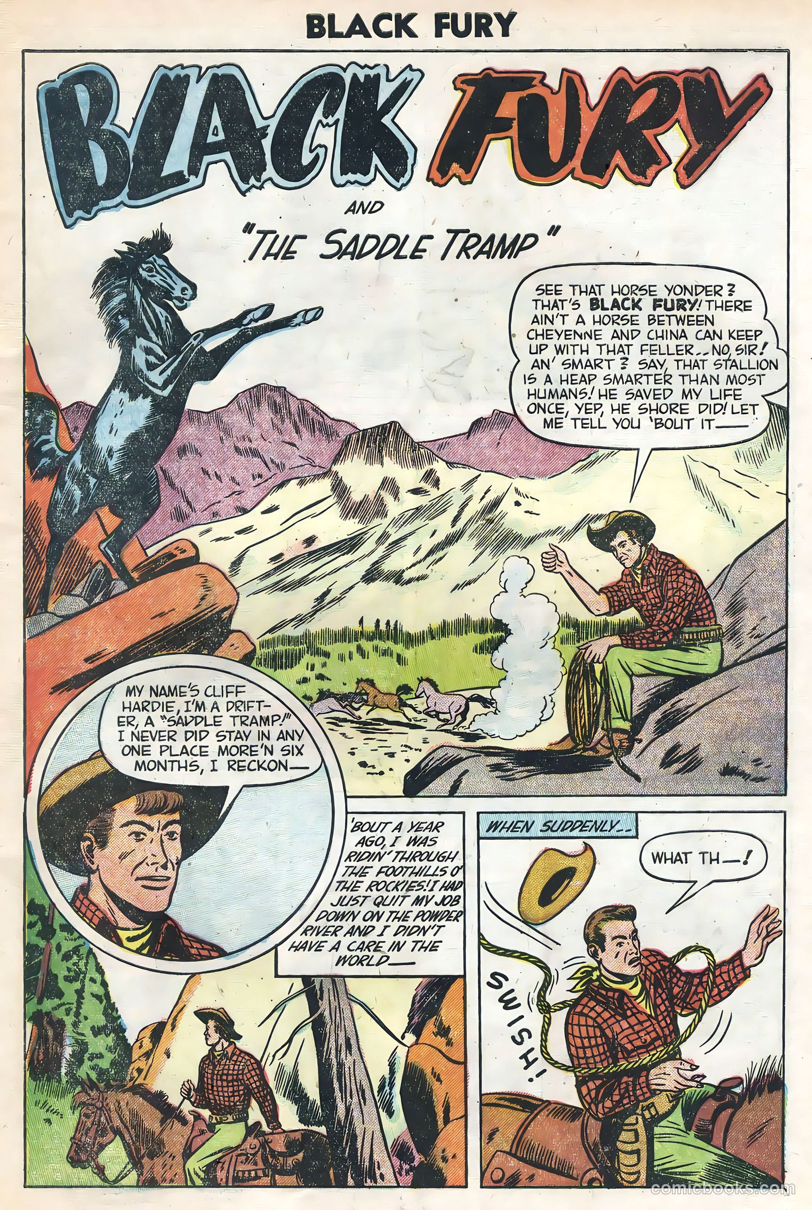 Black Fury #1 (1955) — page 3 of 36