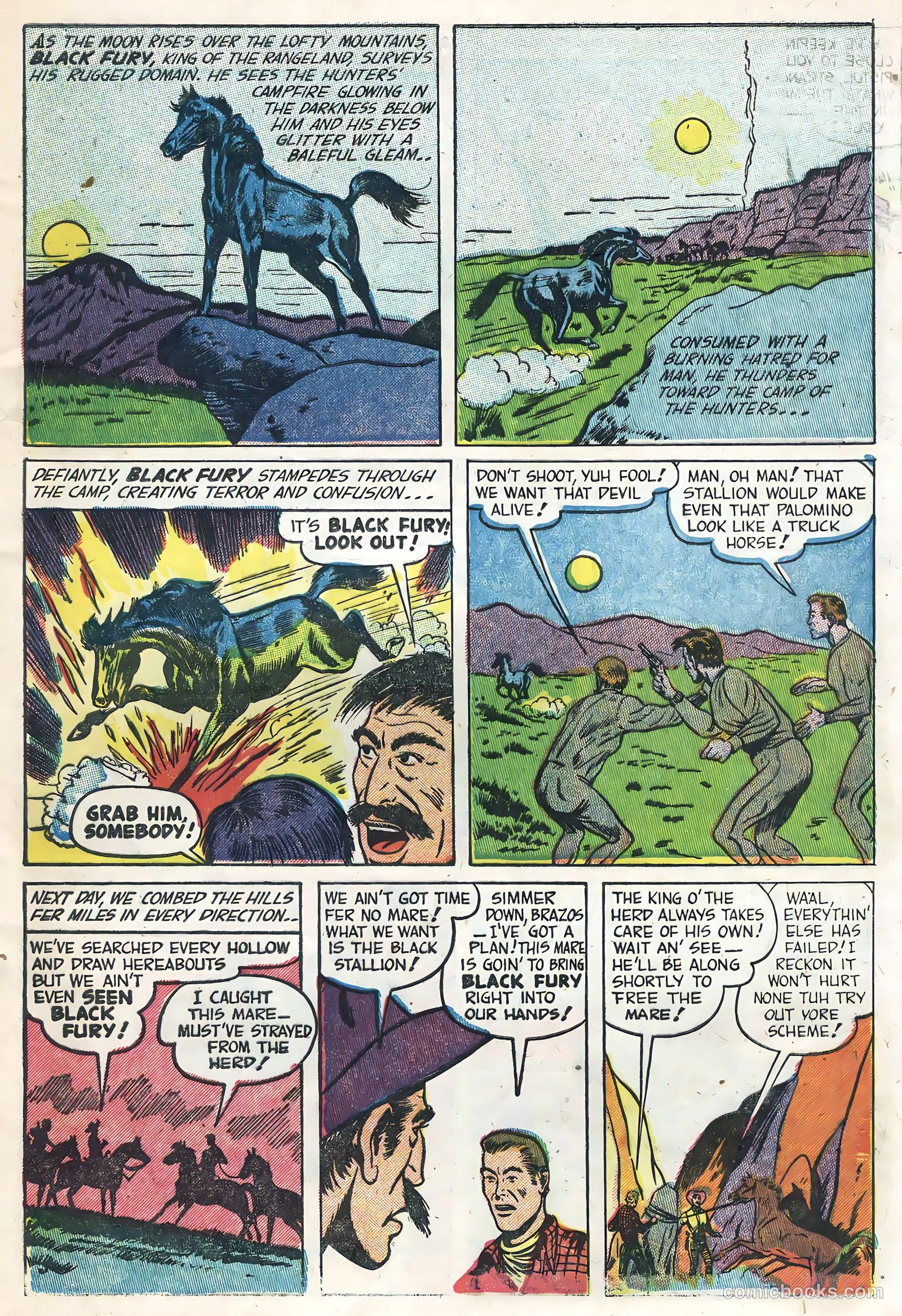 Black Fury #1 (1955) — page 9 of 36