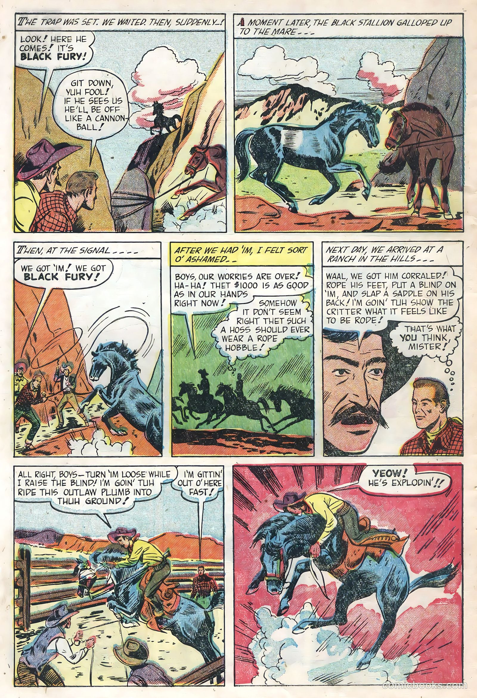 Black Fury #1 (1955) — page 10 of 36