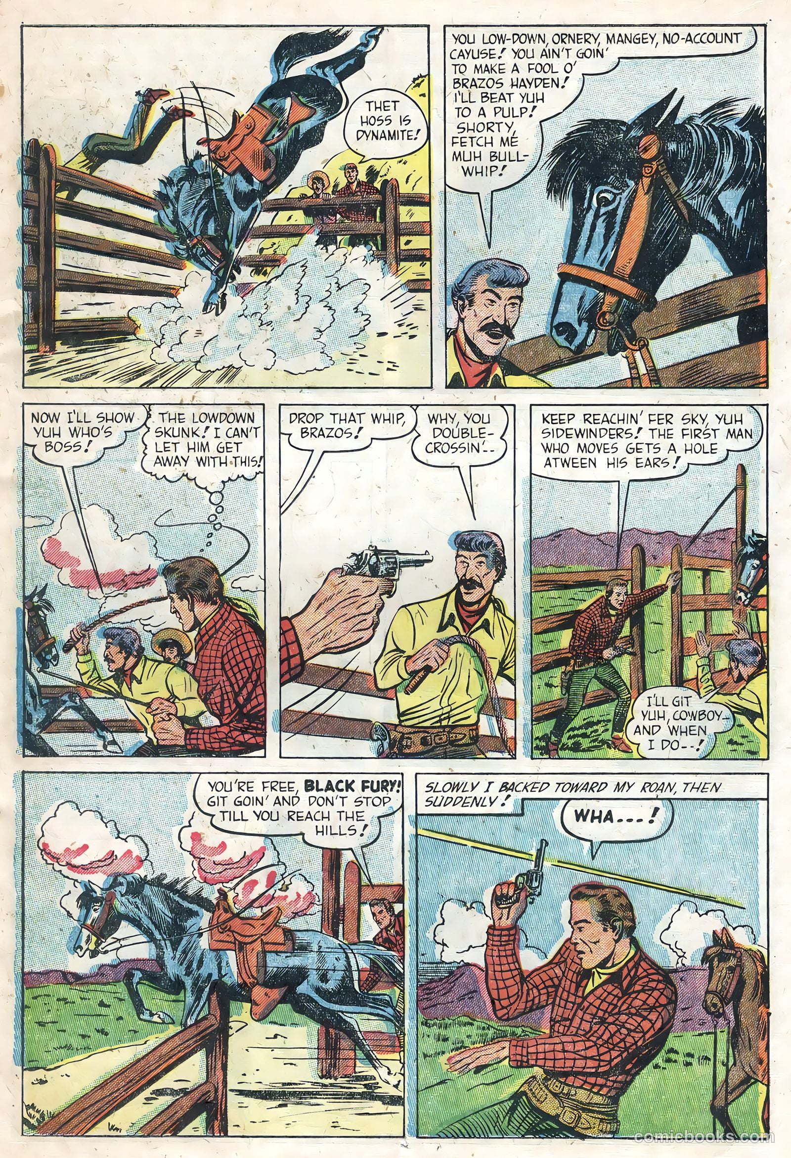 Black Fury #1 (1955) — page 11 of 36