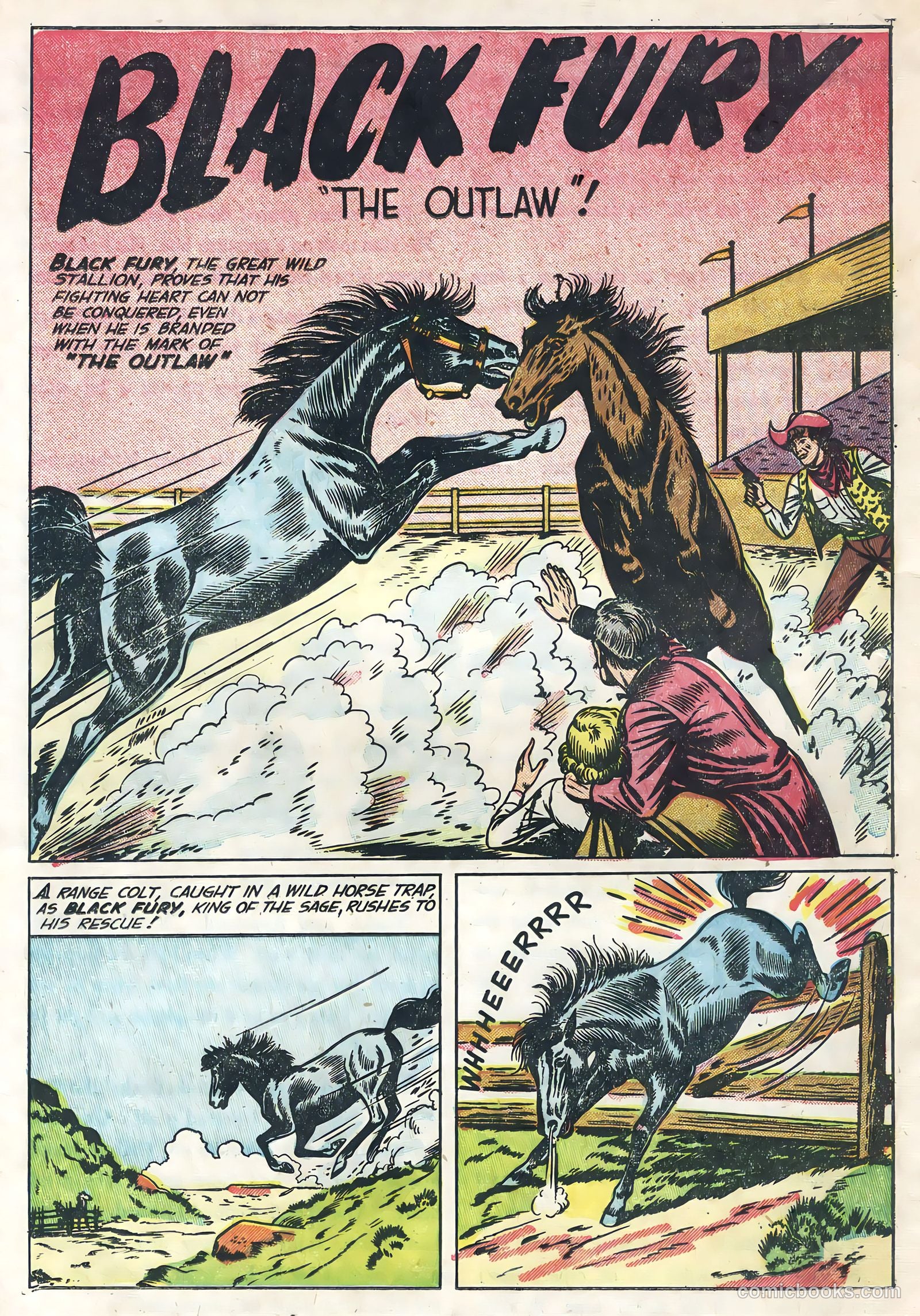 Black Fury #1 (1955) — page 18 of 36
