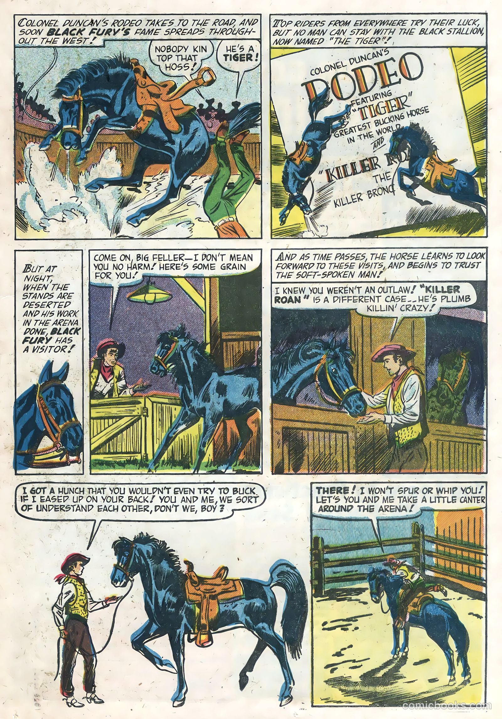 Black Fury #1 (1955) — page 21 of 36