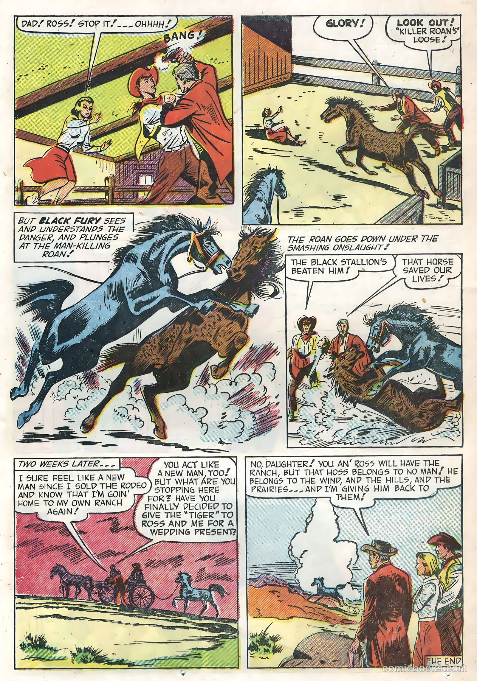 Black Fury #1 (1955) — page 24 of 36